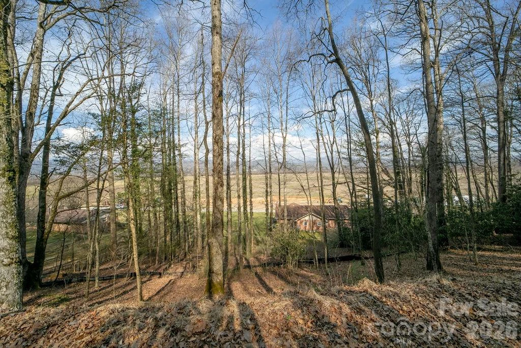 Lot 4-R Middlemount Road - Photo 2