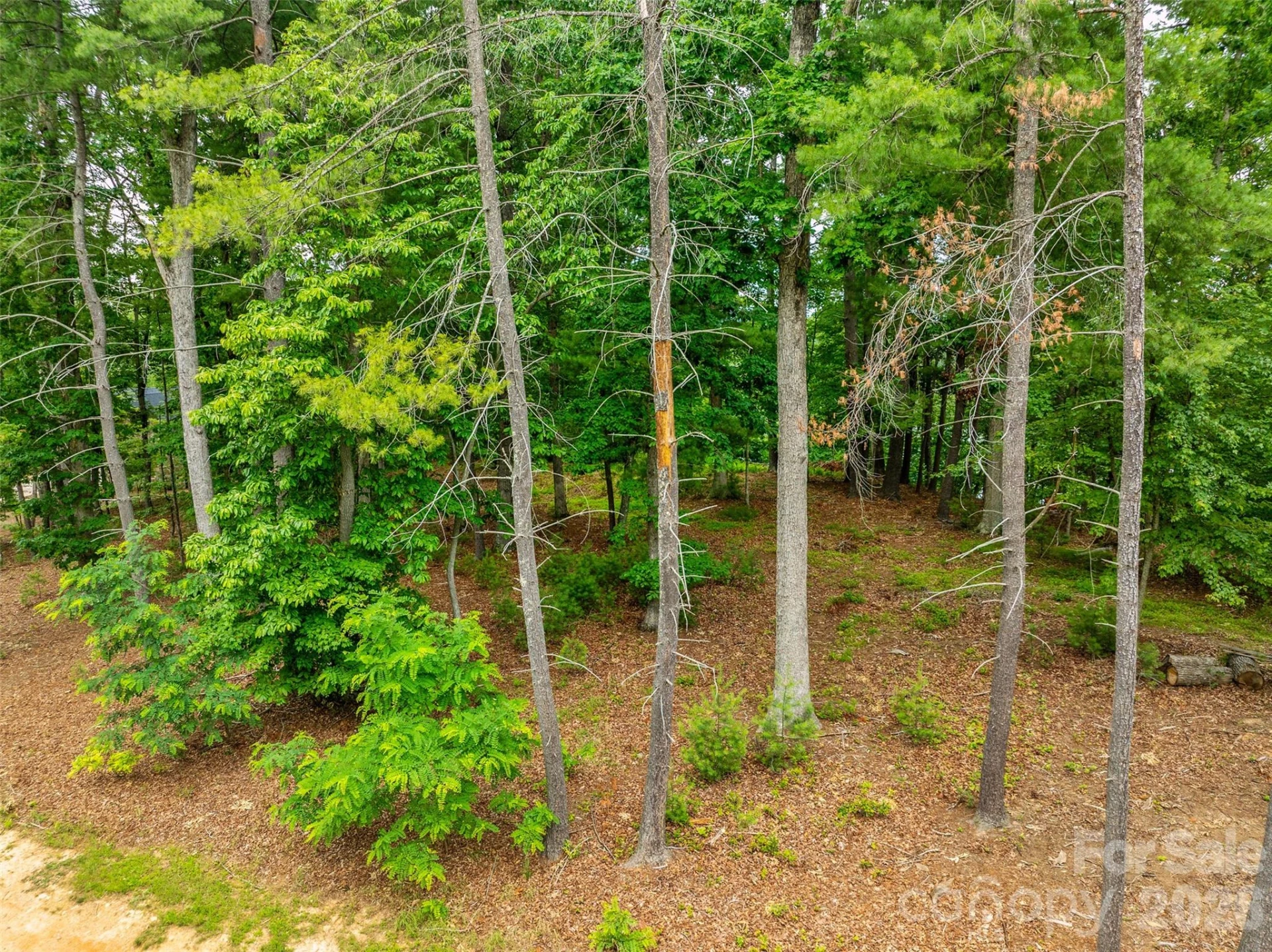 17 Hendrickson Court - Photo 13