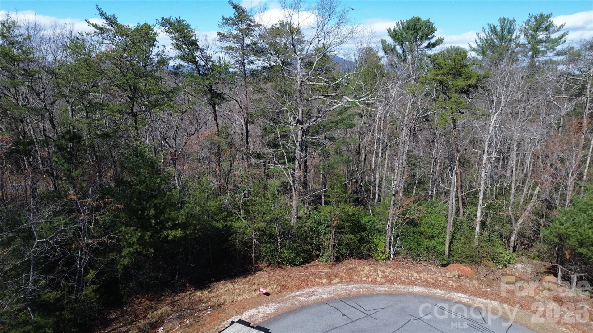 91 West Lake Road #91 - Photo 5