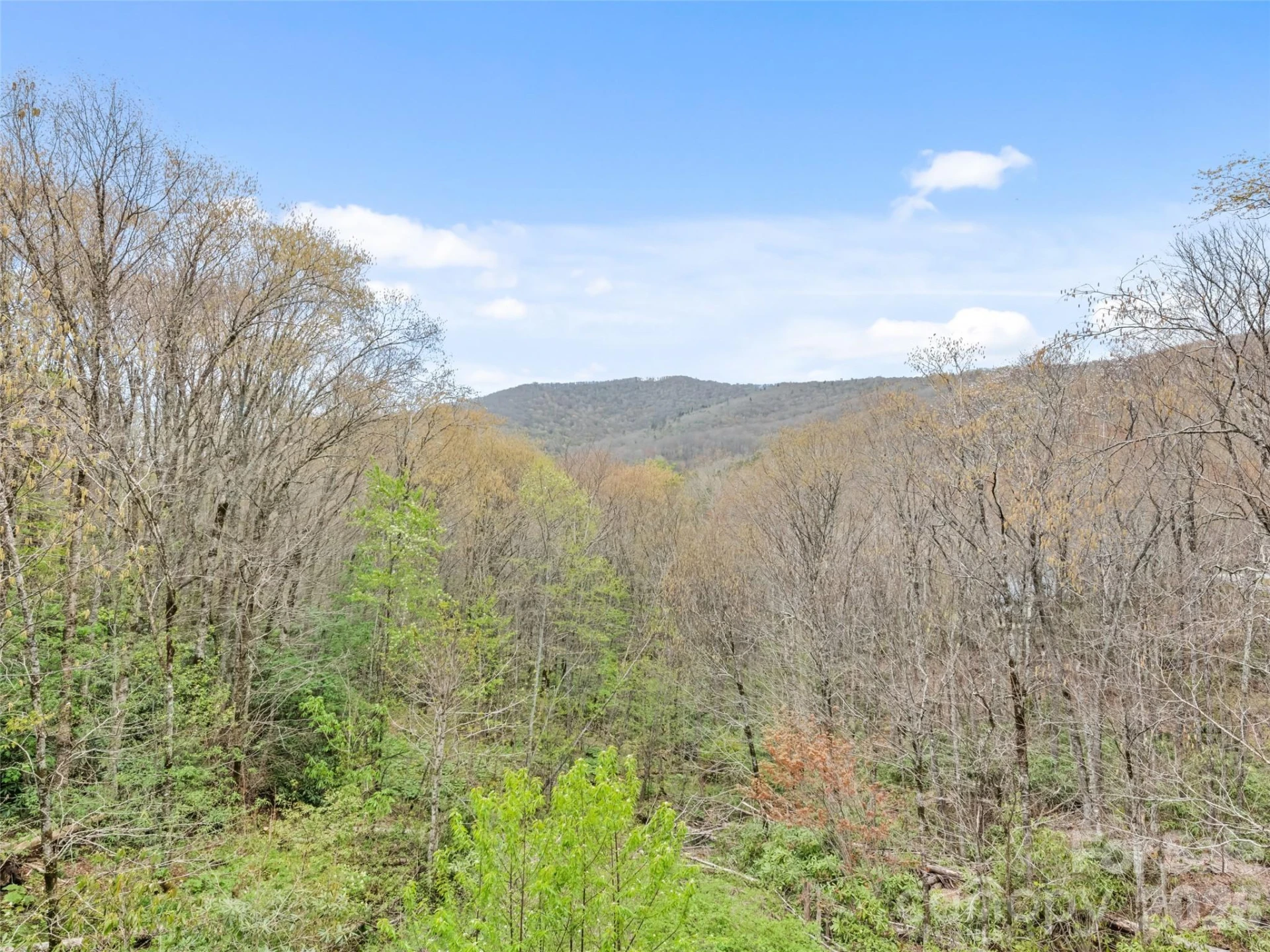 91 Copper Spur Road - Photo 22