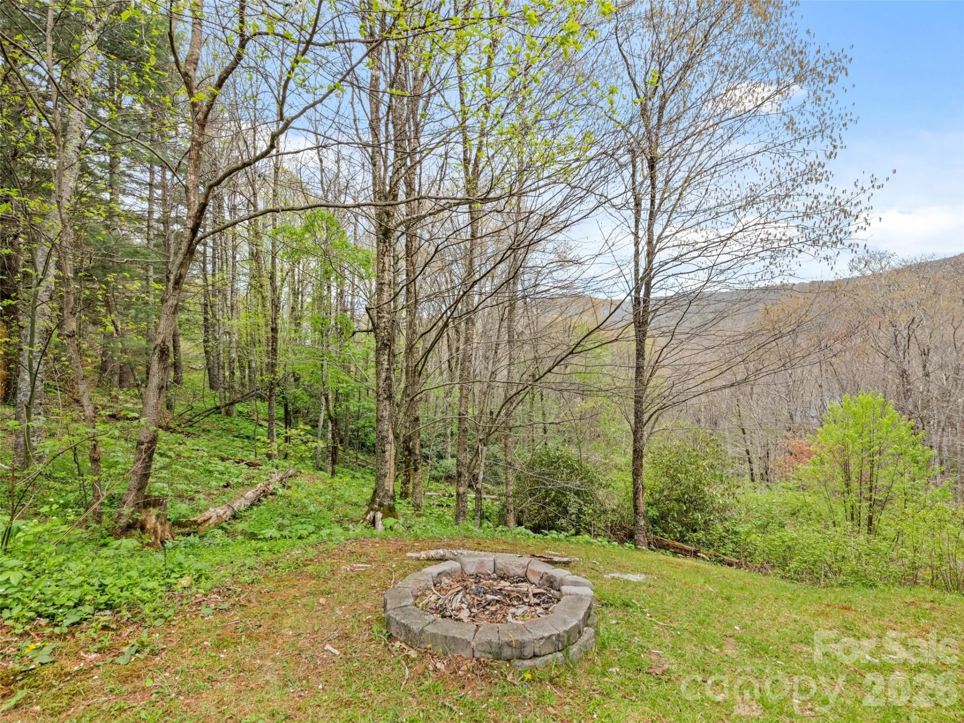 91 Copper Spur Road - Photo 28