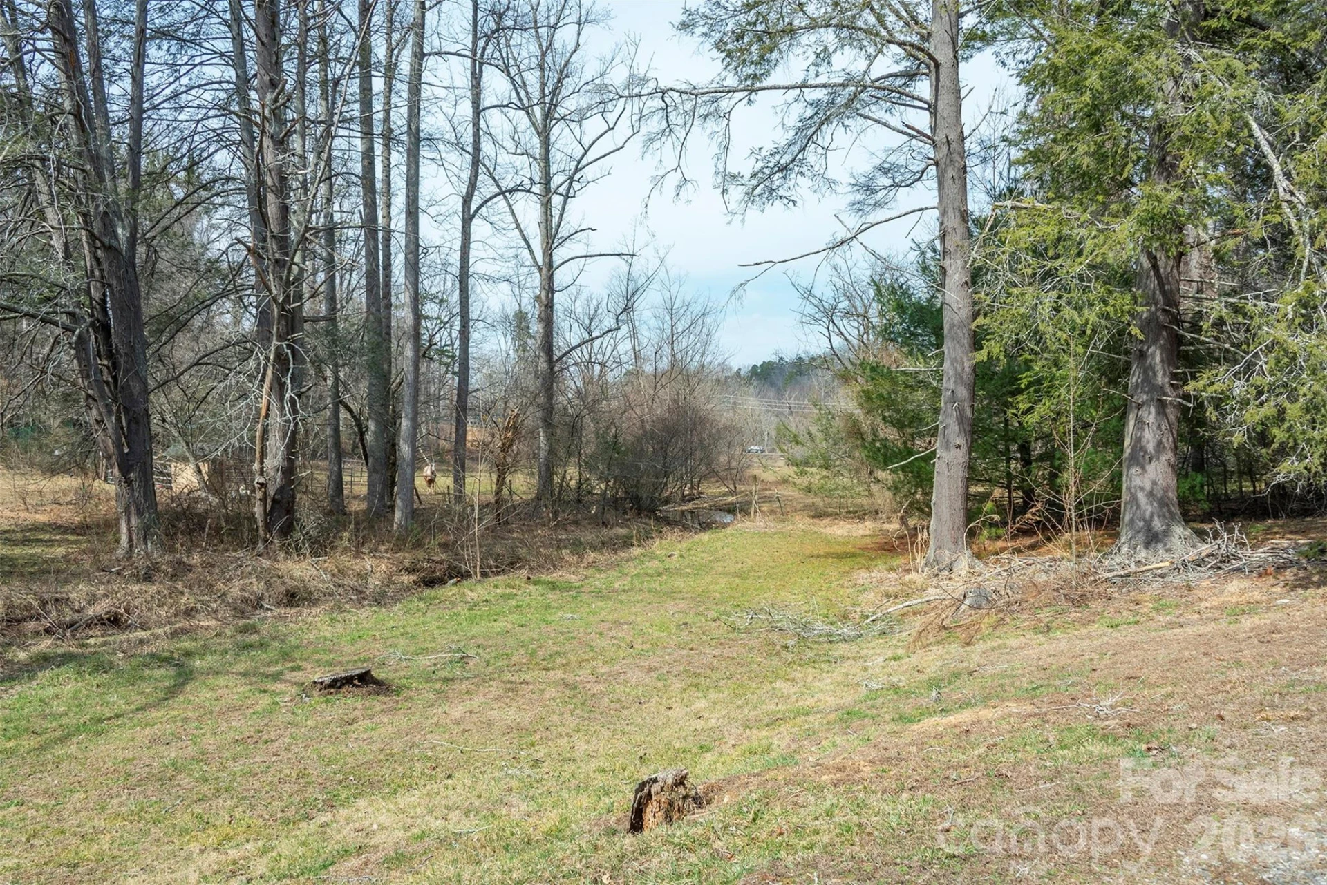 1720 Brevard Road - Photo 15