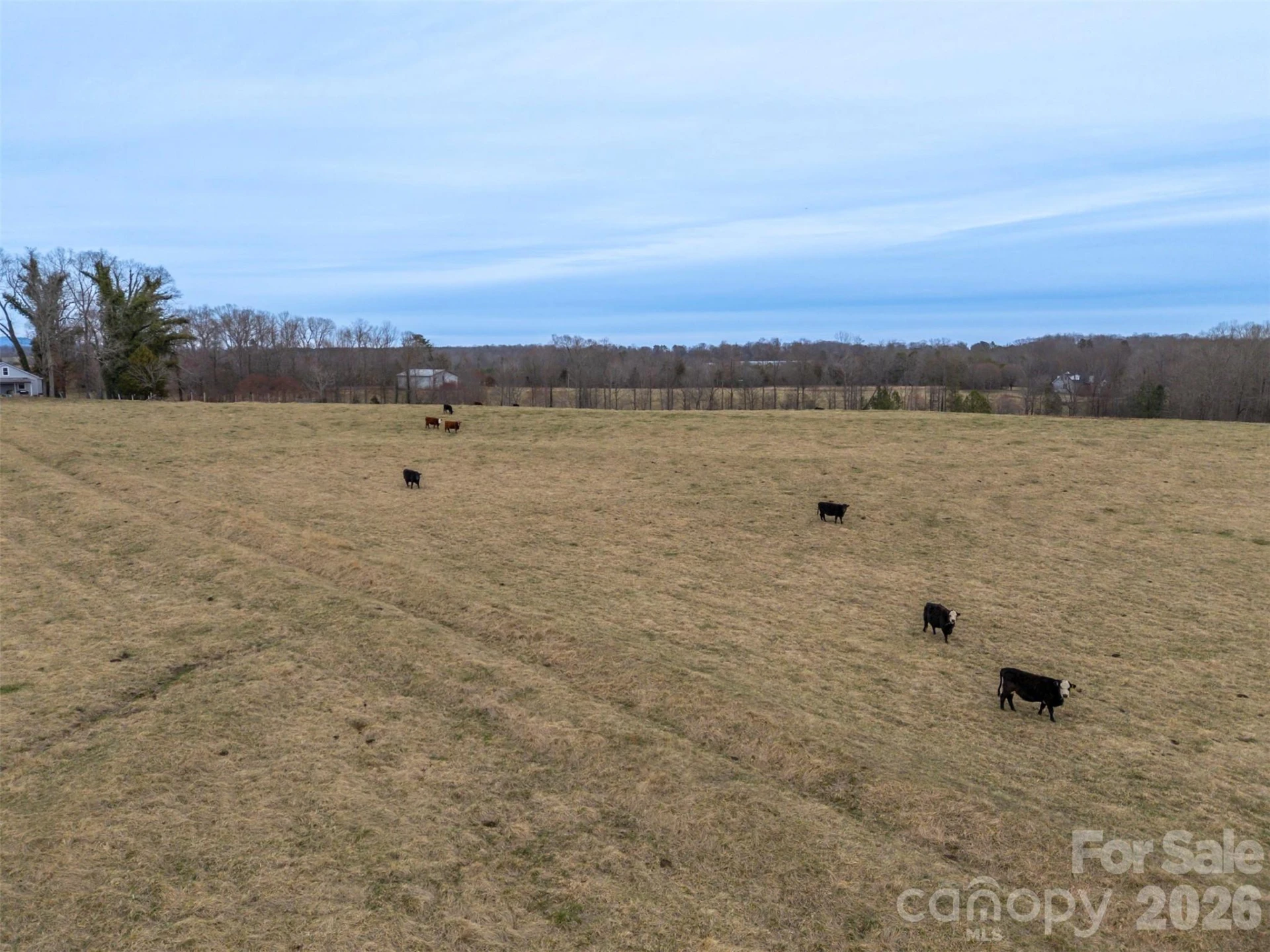 0 Red Barn Road - Photo 14