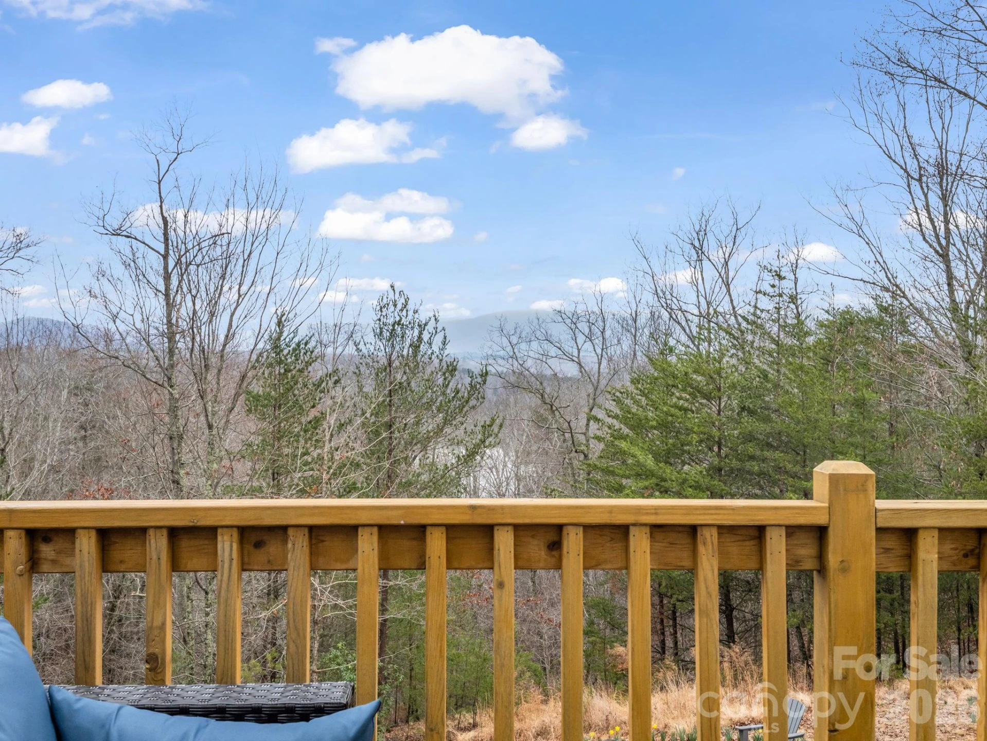 631 Mountain Parkway - Photo 33