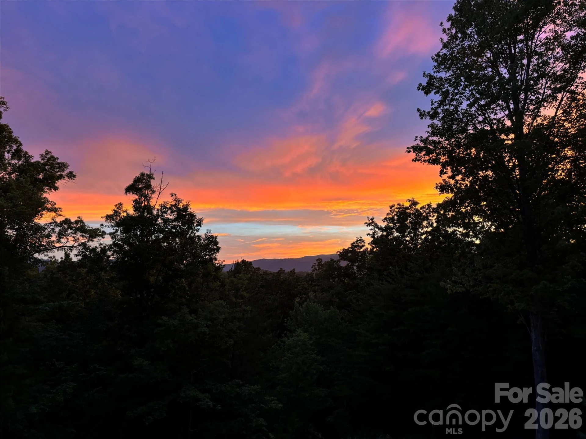 631 Mountain Parkway - Photo 40