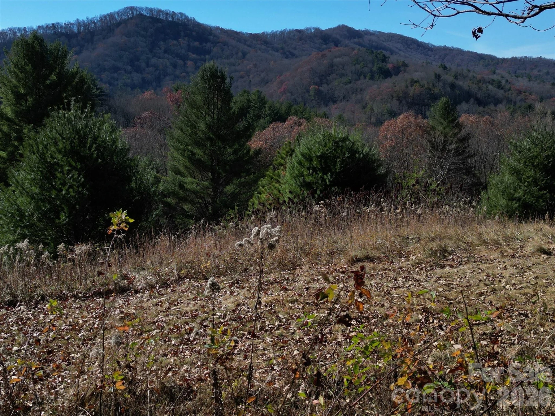 00 Dream Valley Drive #22 - Photo 21