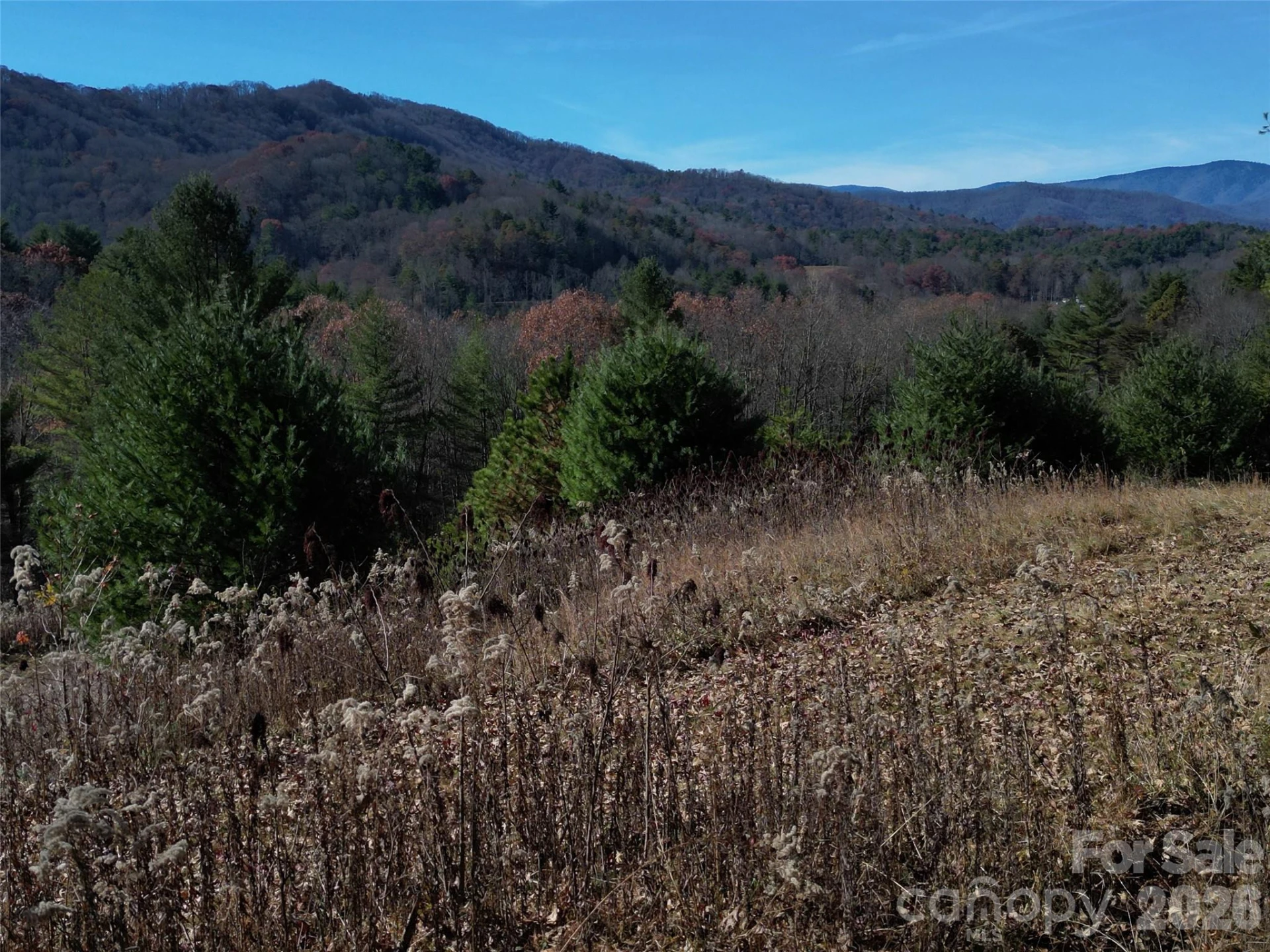 00 Dream Valley Drive #22 - Photo 22