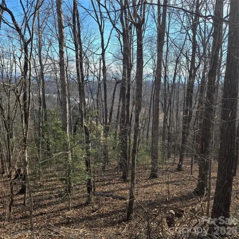 85 Shinnecock Drive, Mills River, NC, 28759