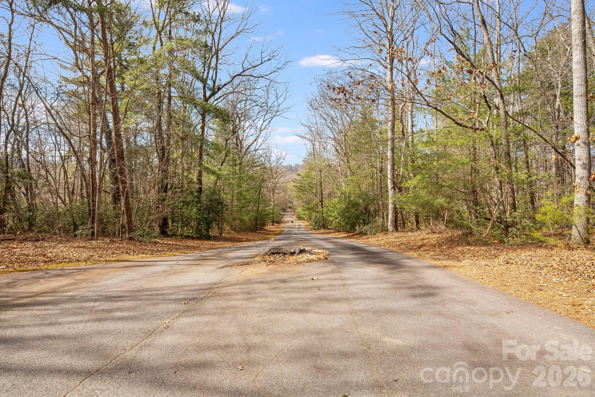 00 Old Haywood Road - Photo 12