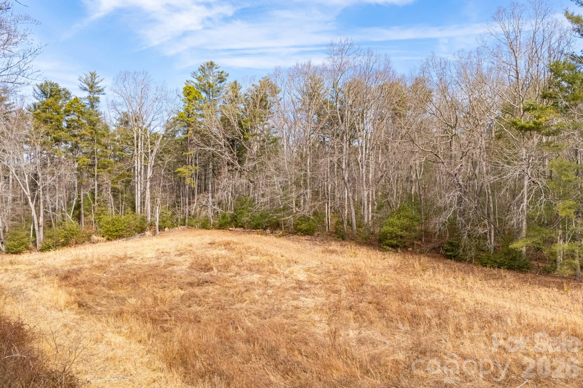 00 Old Haywood Road - Photo 10
