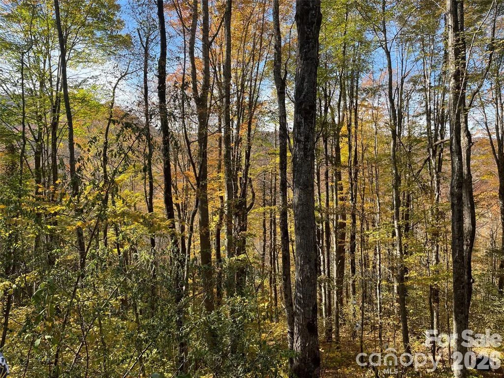 000 Shadyside Drive #8 - Photo 11