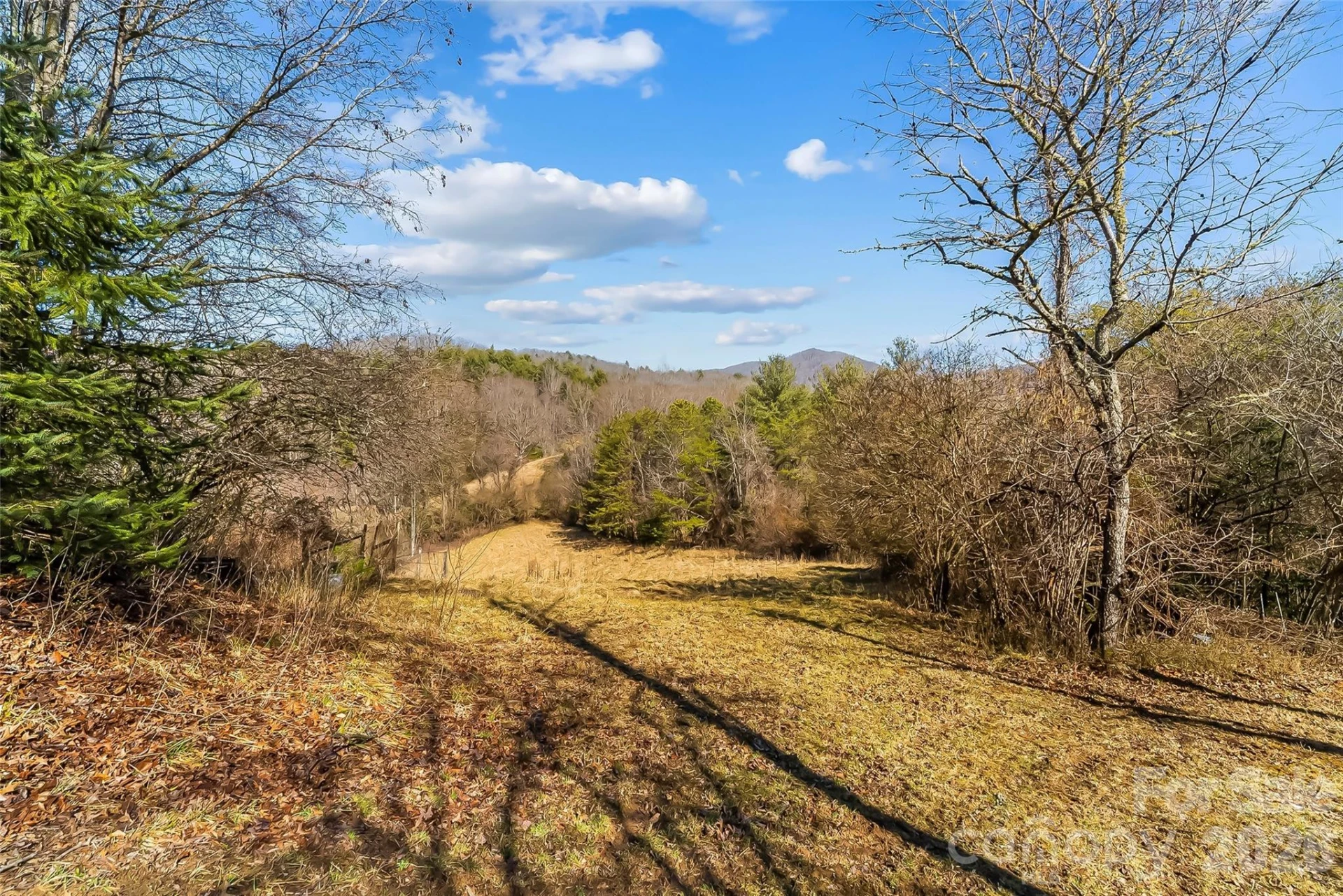 350 Sandy Bottom Road - Photo 3