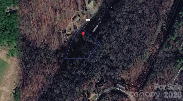 999 Windy Cove Drive, Horse Shoe, NC, 28742