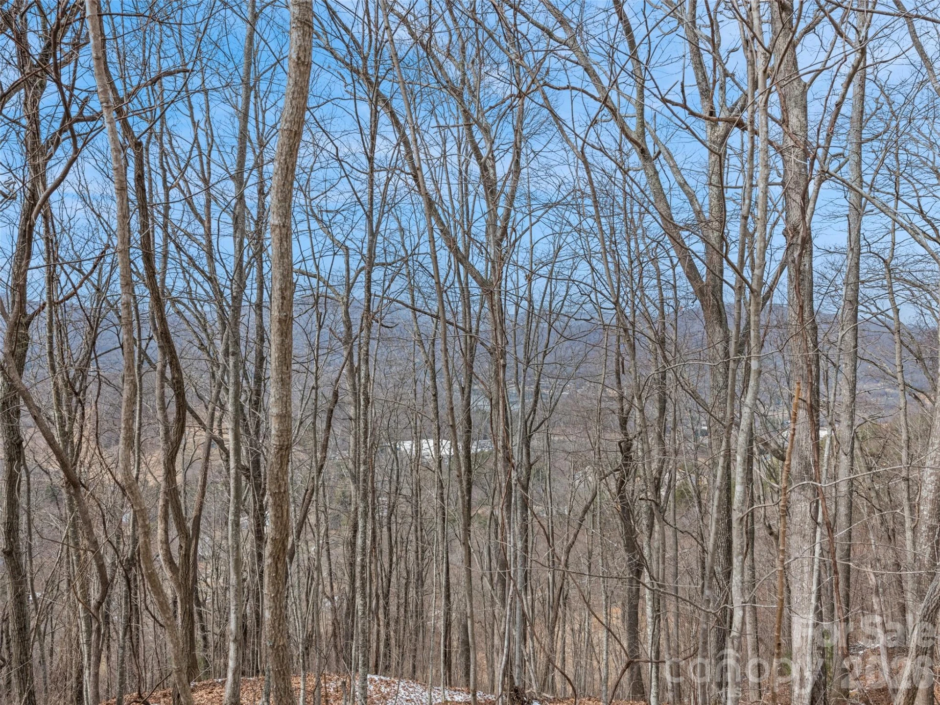 Lot #3 Viewpoint Mountain - Photo 7