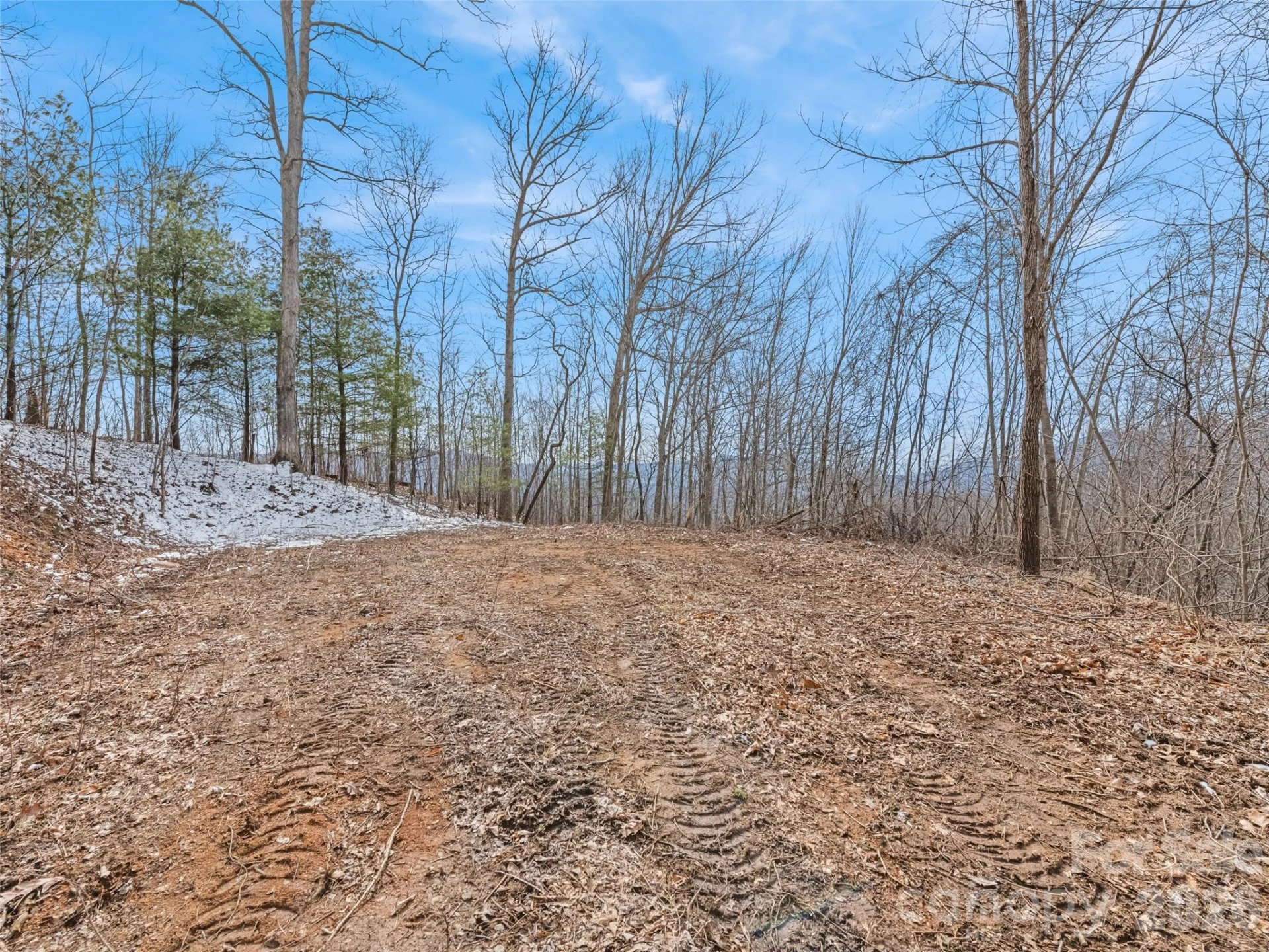 Lot #4 Viewpoint Mountain - Photo 5