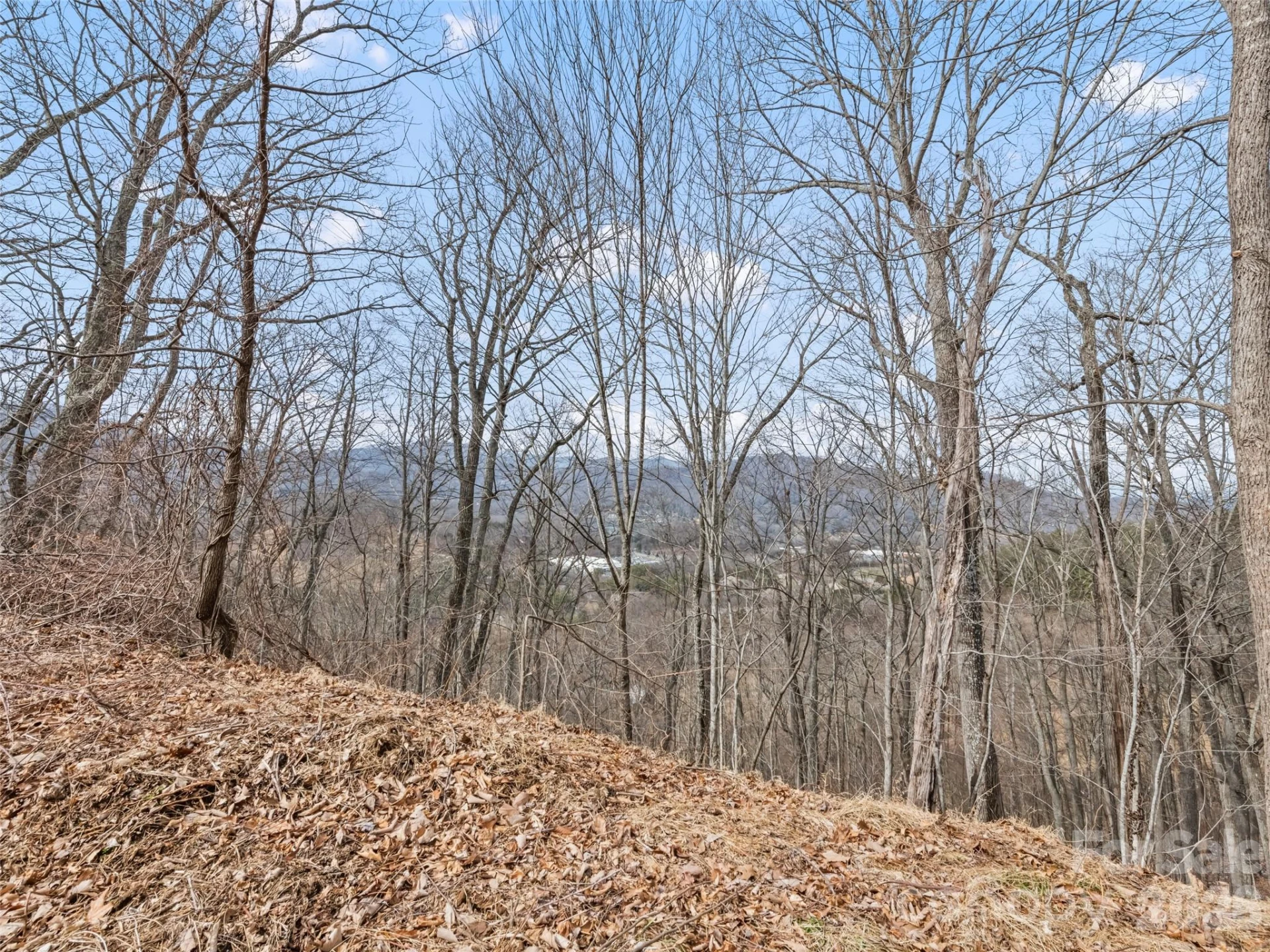 Lots #6 and 7 Viewpoint Mountain - Photo 10
