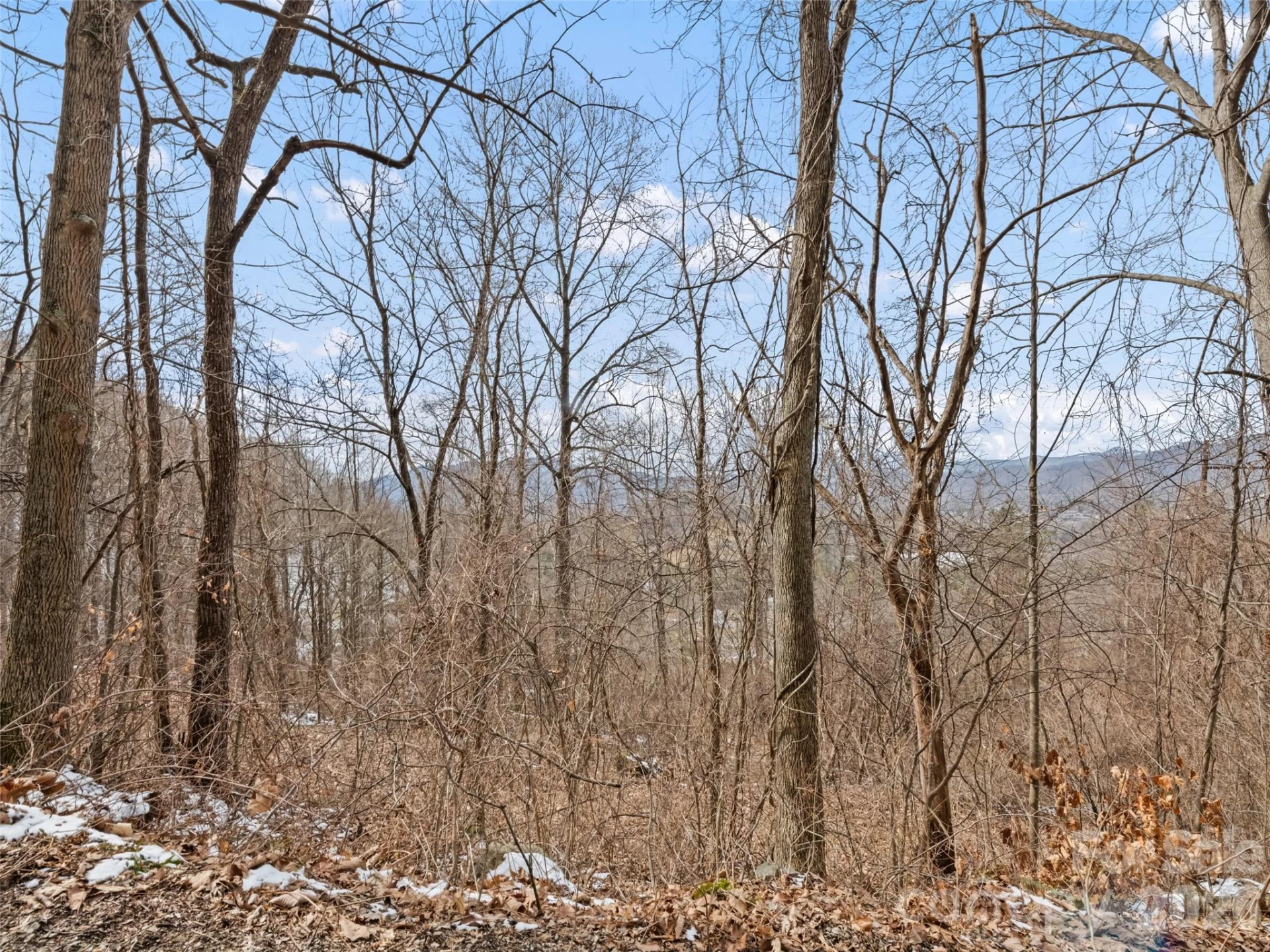 Lot #8 Viewpoint Mountain - Photo 7