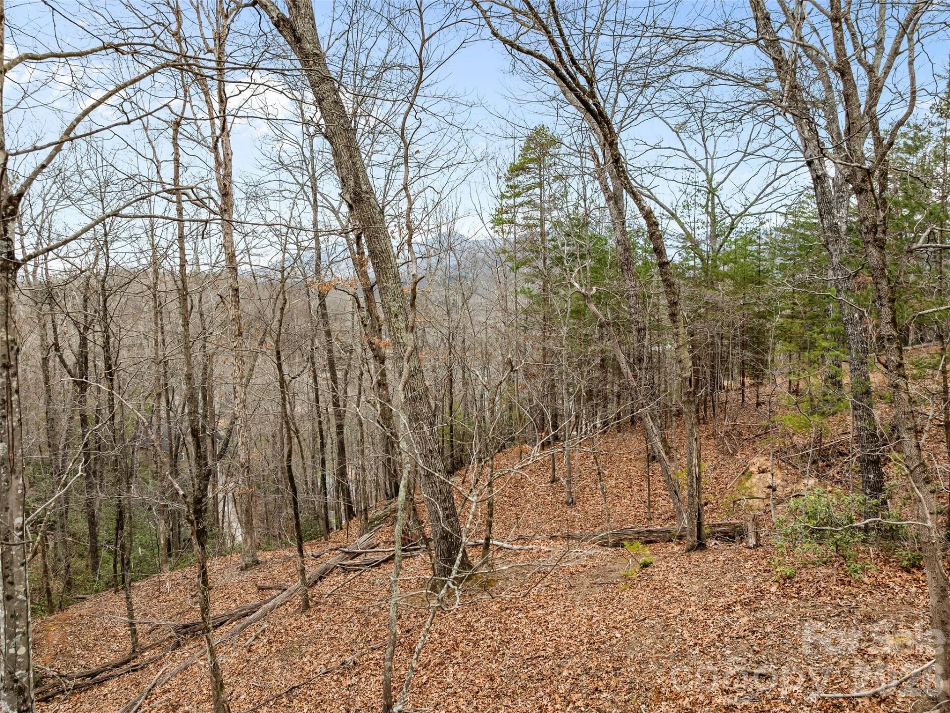 0 Buffalo Shoals Road #Tract IV, Lot 25 - Photo 16
