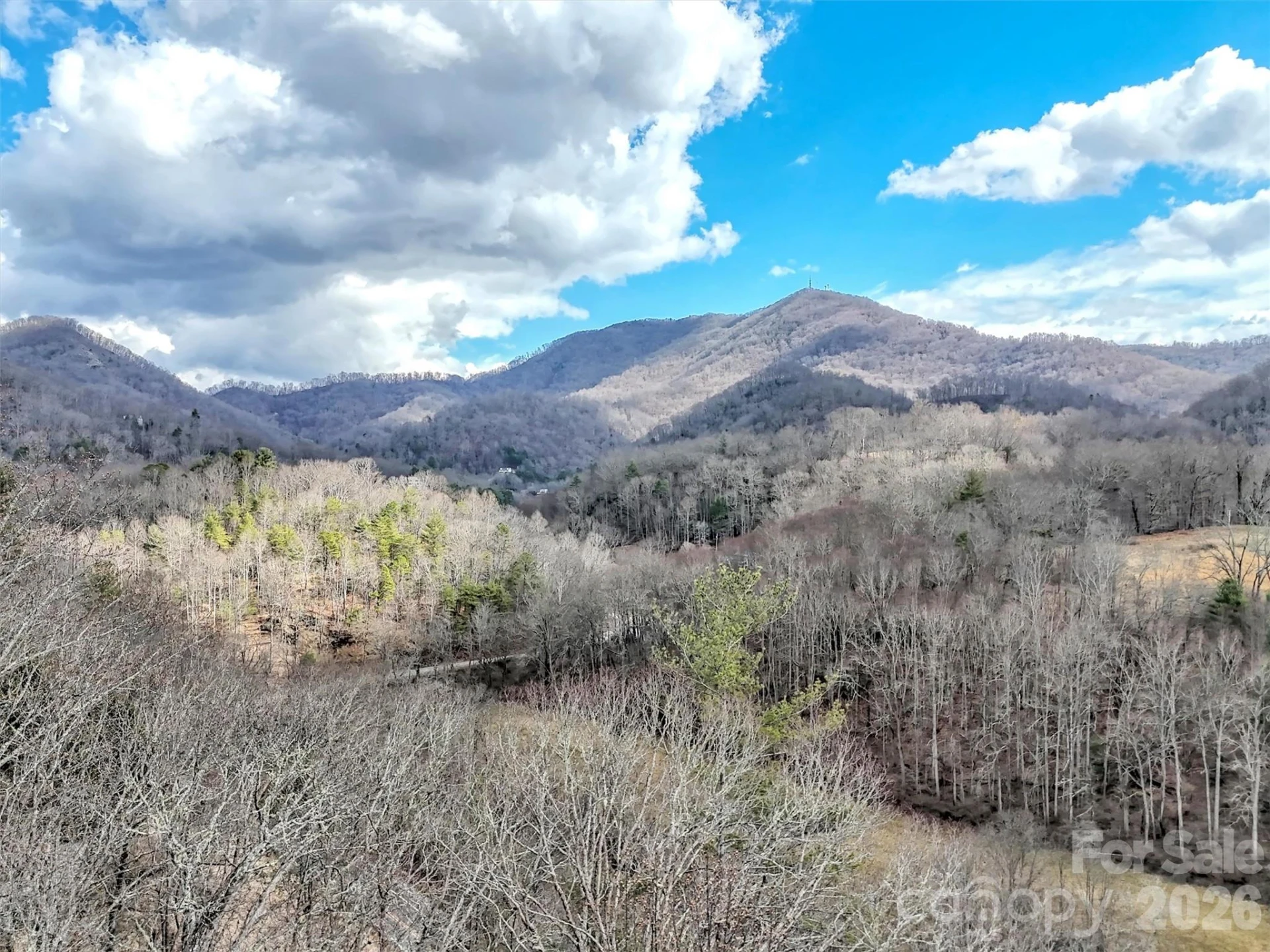 109 Paradise Circle - Photo 47