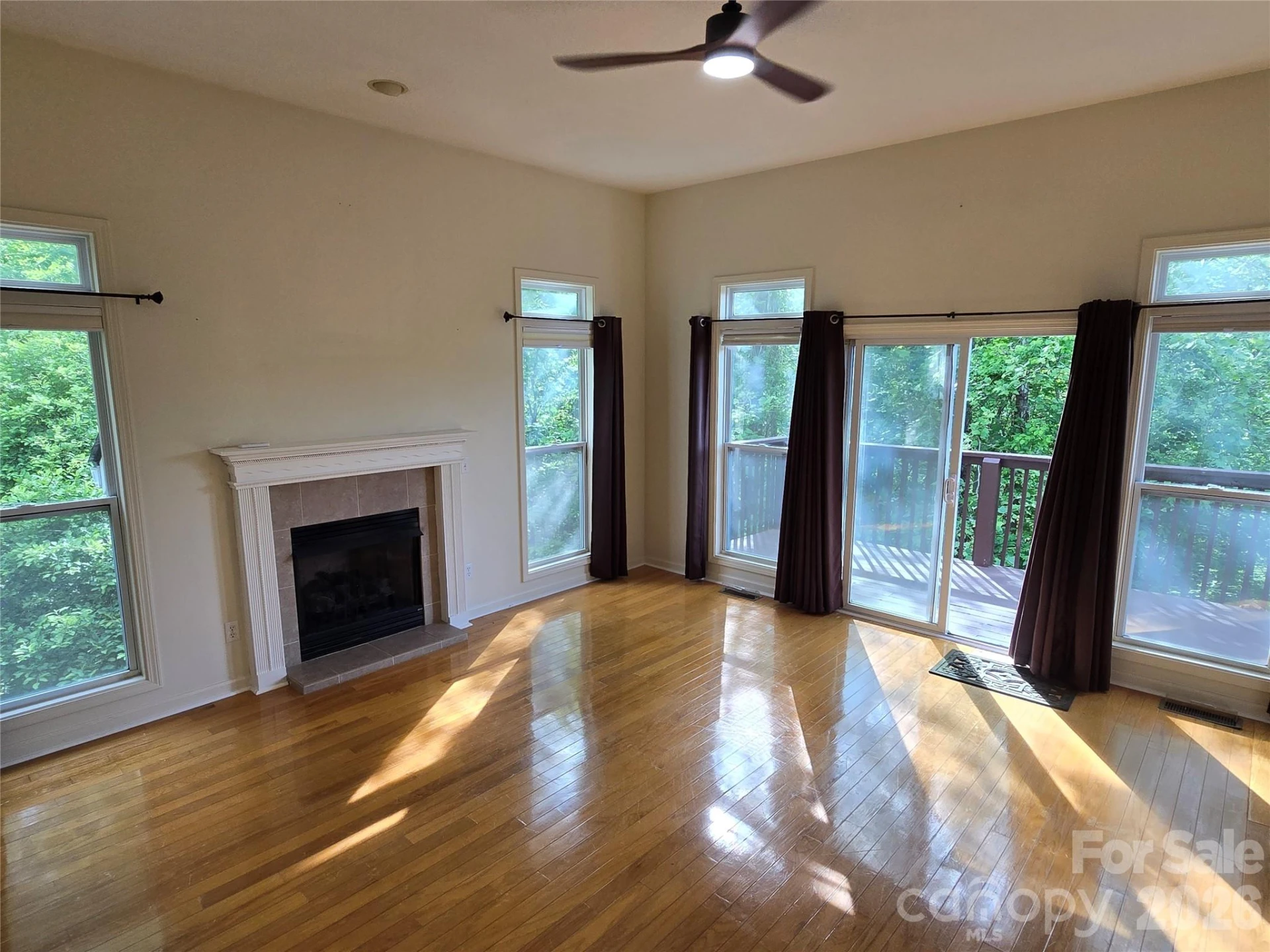 73 Dalya Road - Photo 3