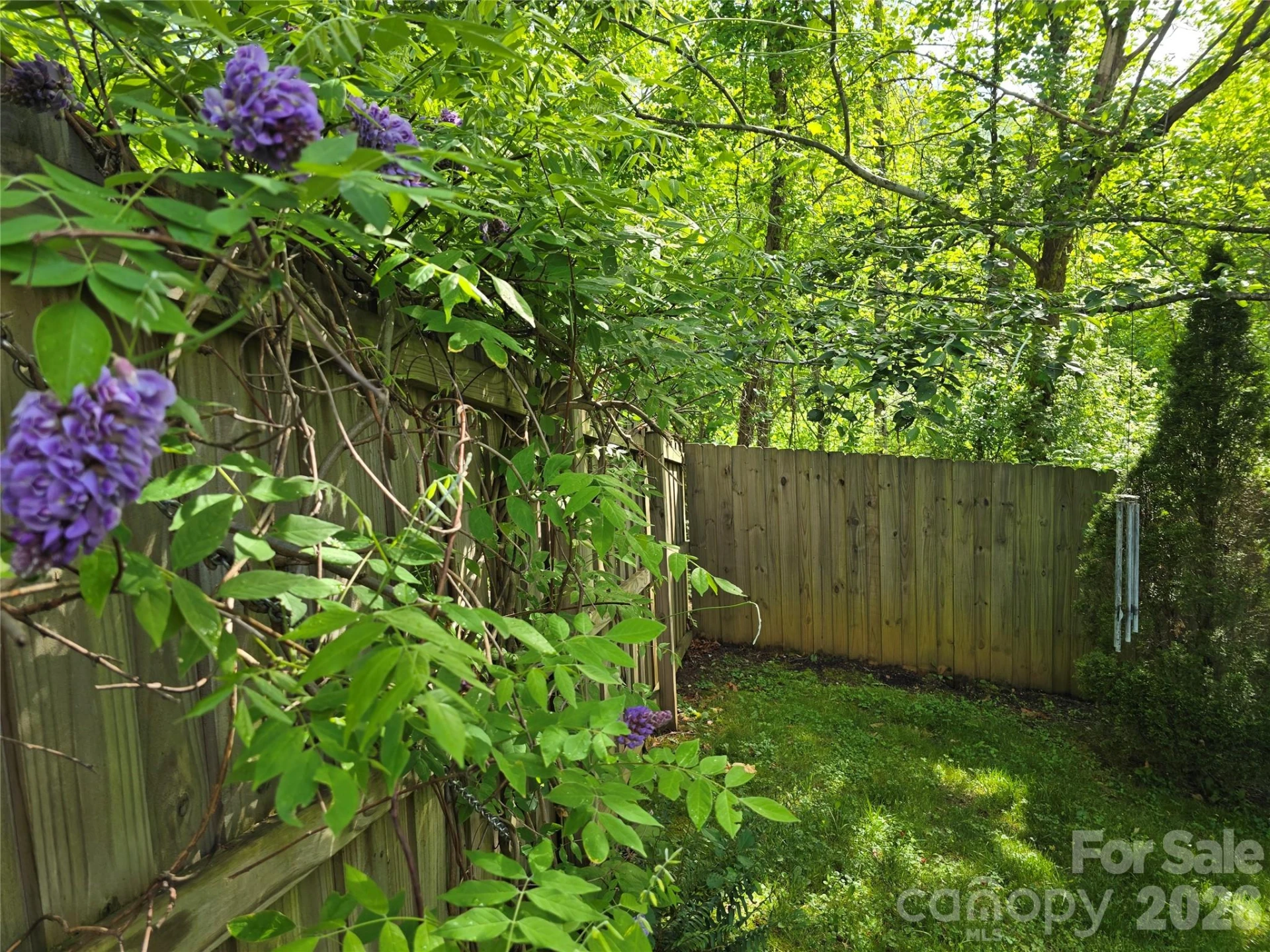 73 Dalya Road - Photo 14