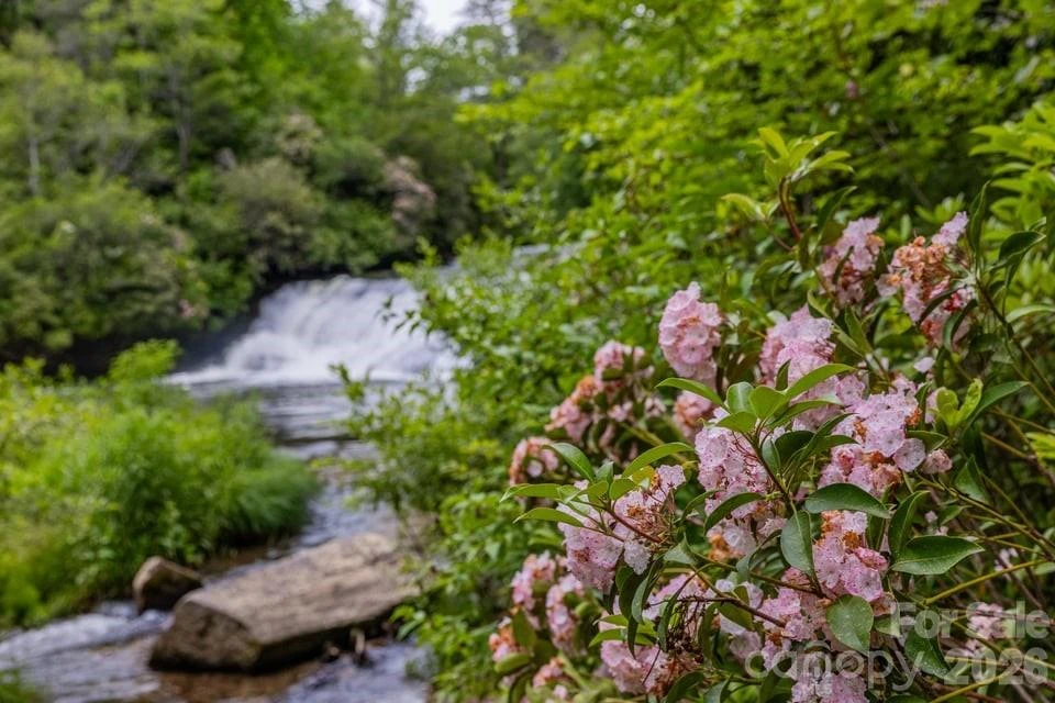 940 Winding Creek Road - Photo 43
