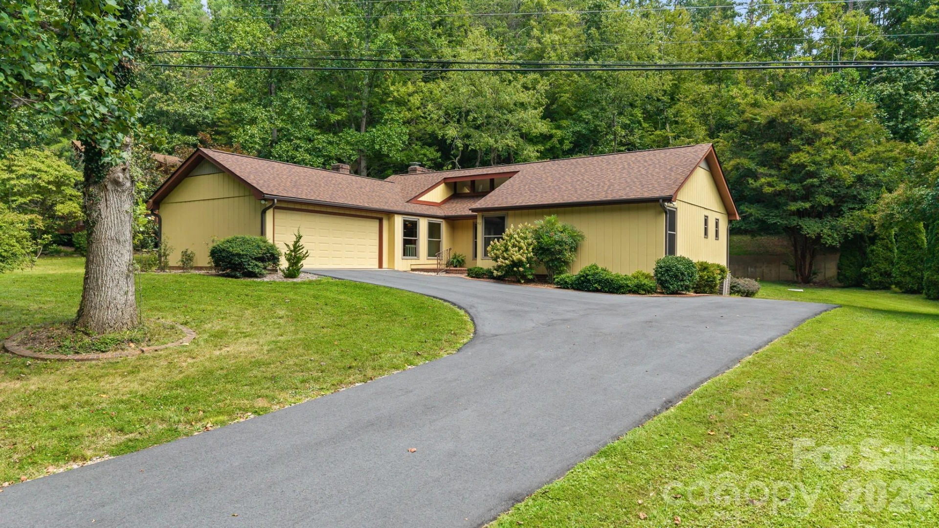 63 Pinecroft Road - Photo 4