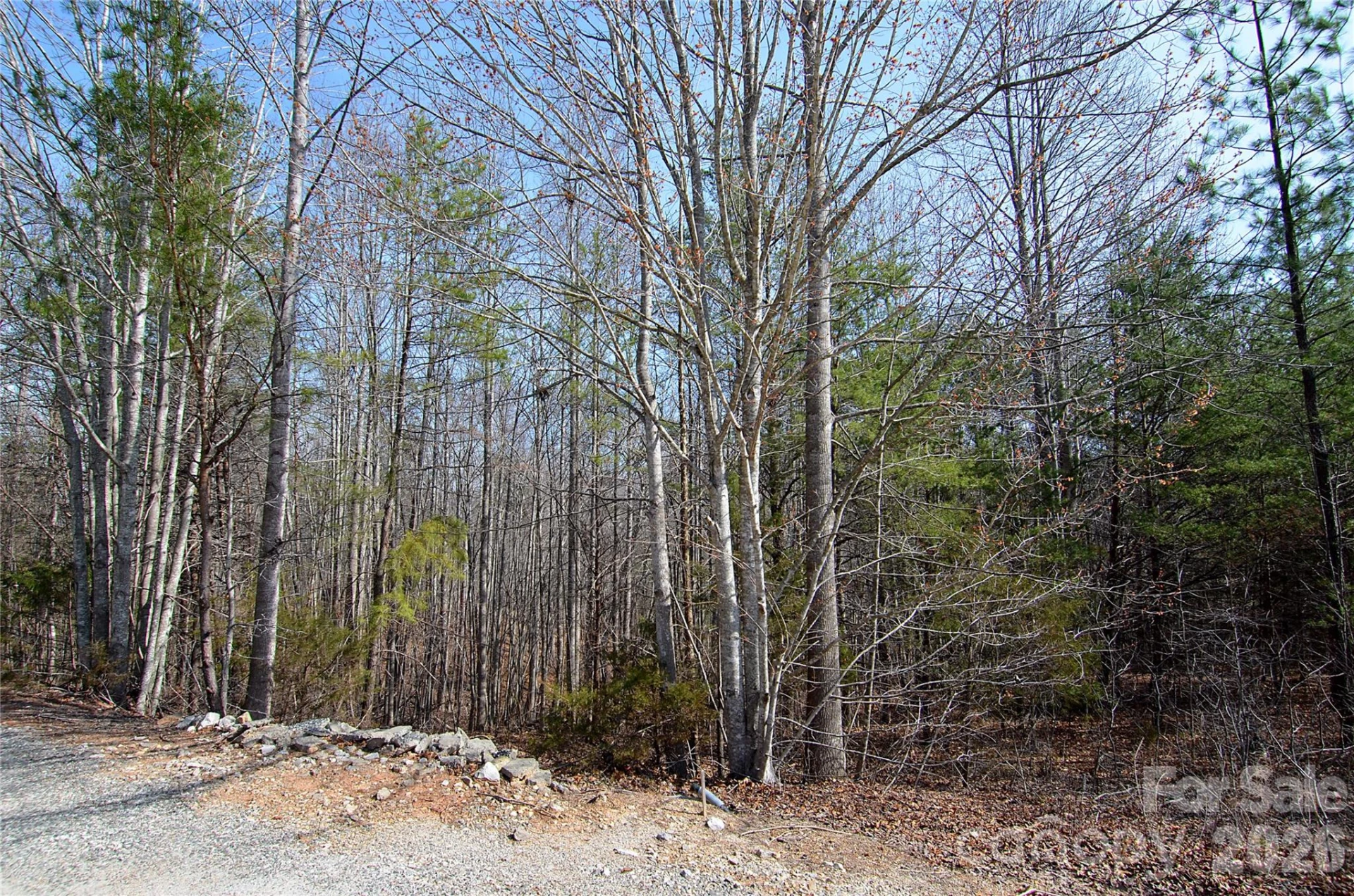 00 Sundance Drive #3-IV - Photo 6