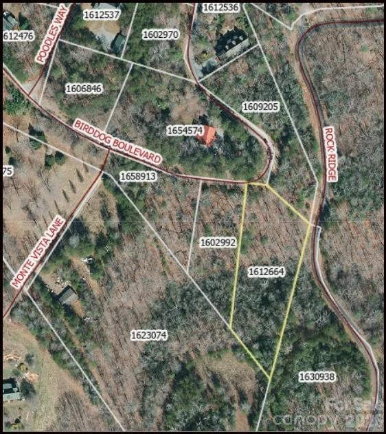 0 Birddog Boulevard #328 - Photo 3