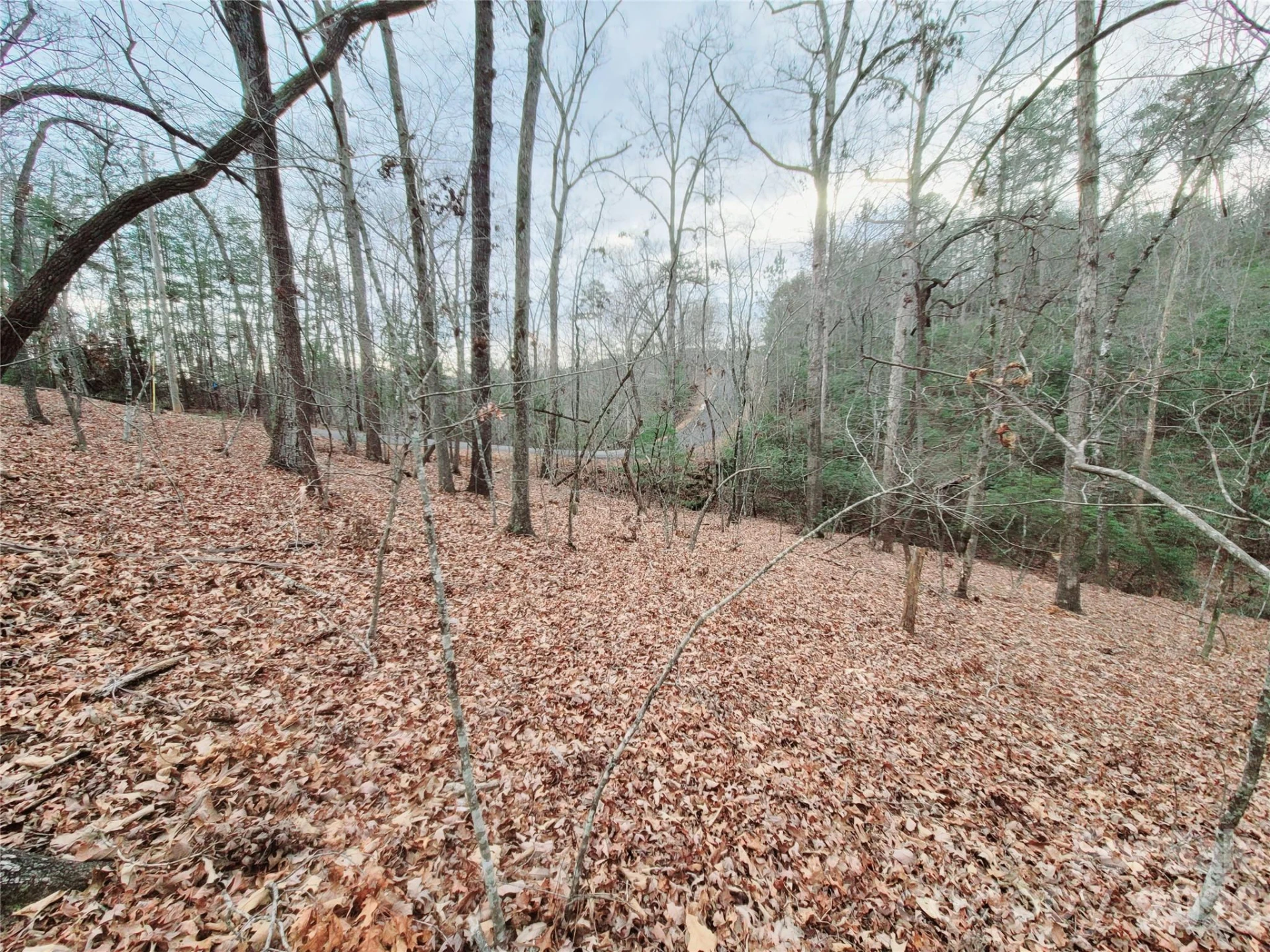 0 Birddog Boulevard #328 - Photo 14