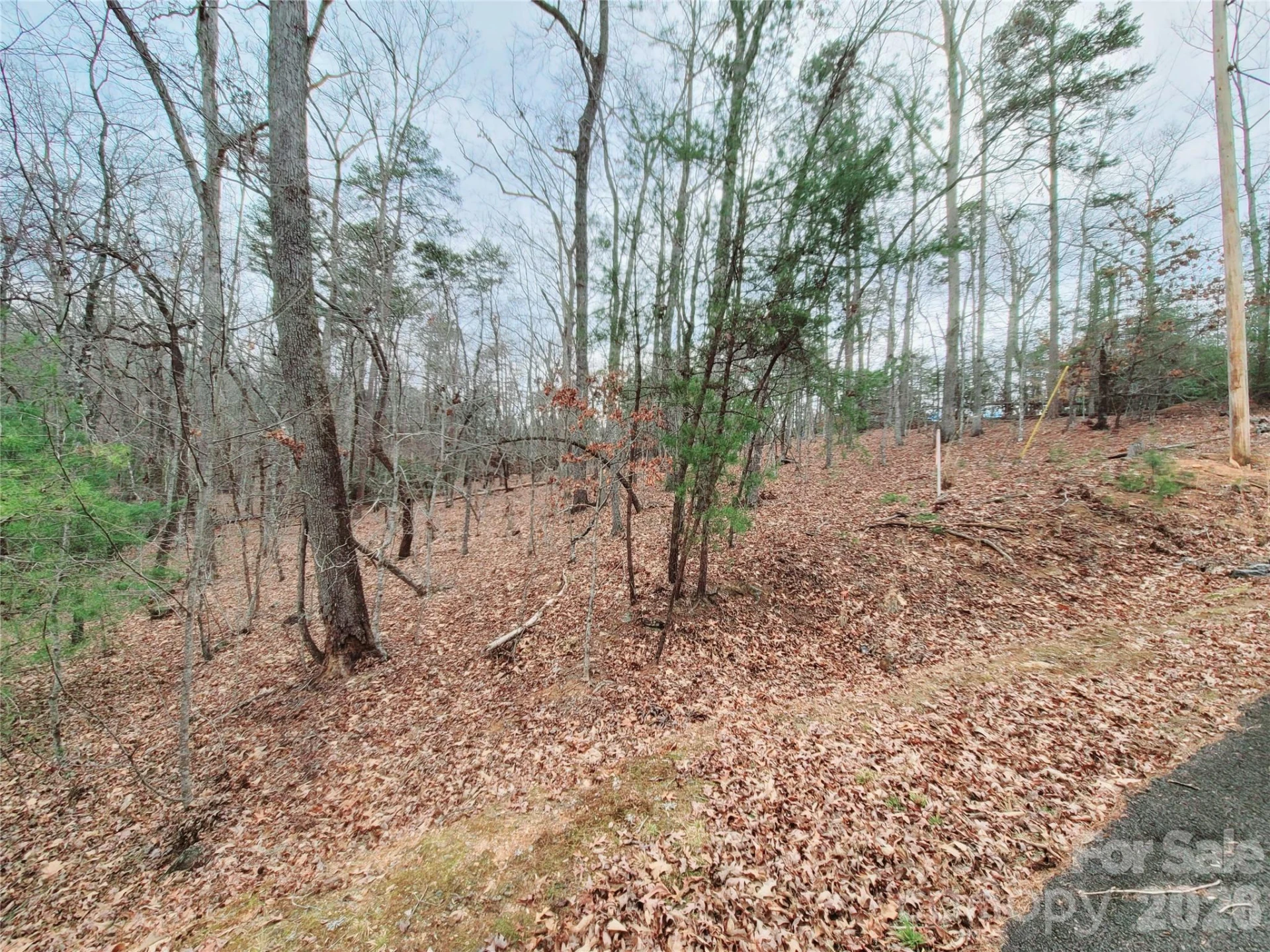 0 Birddog Boulevard #328 - Photo 20