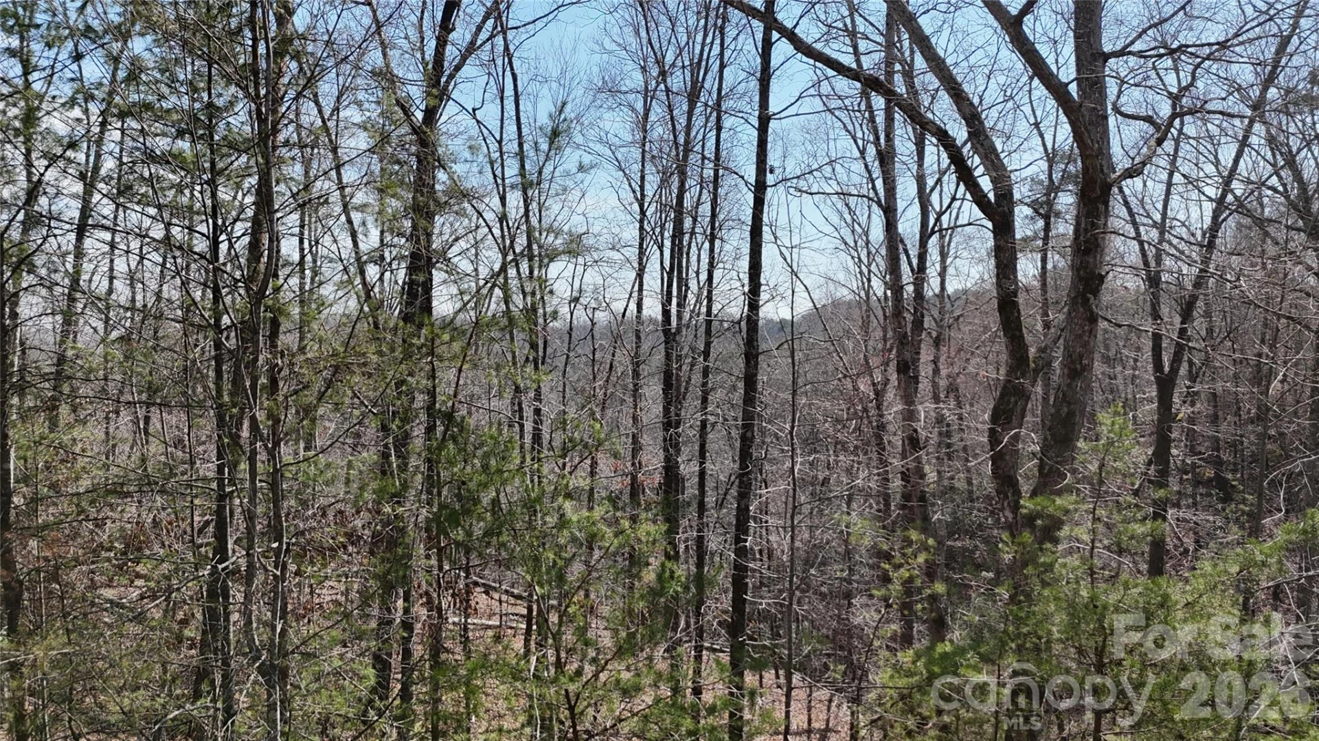 0 Birddog Boulevard #328 - Photo 22