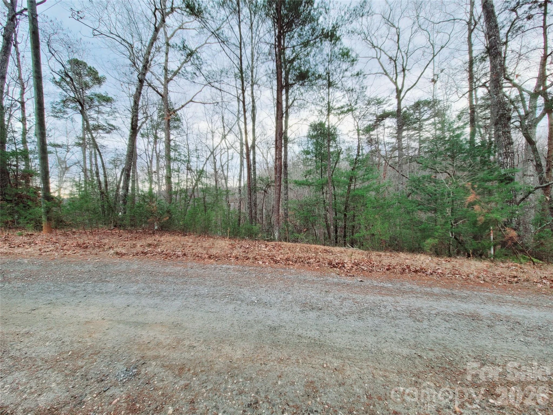 0 Birddog Boulevard #328 - Photo 9