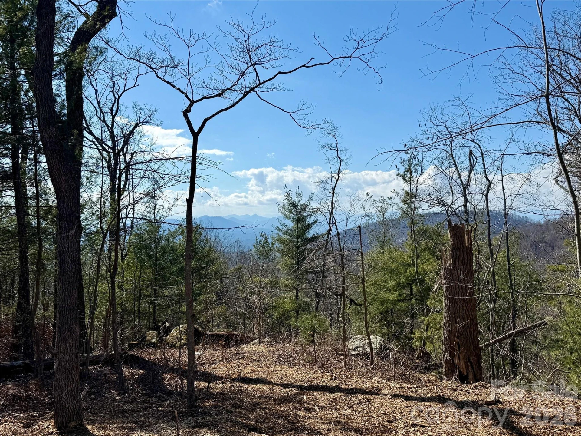 000 Rambling Ridge Road #16 - Photo 3