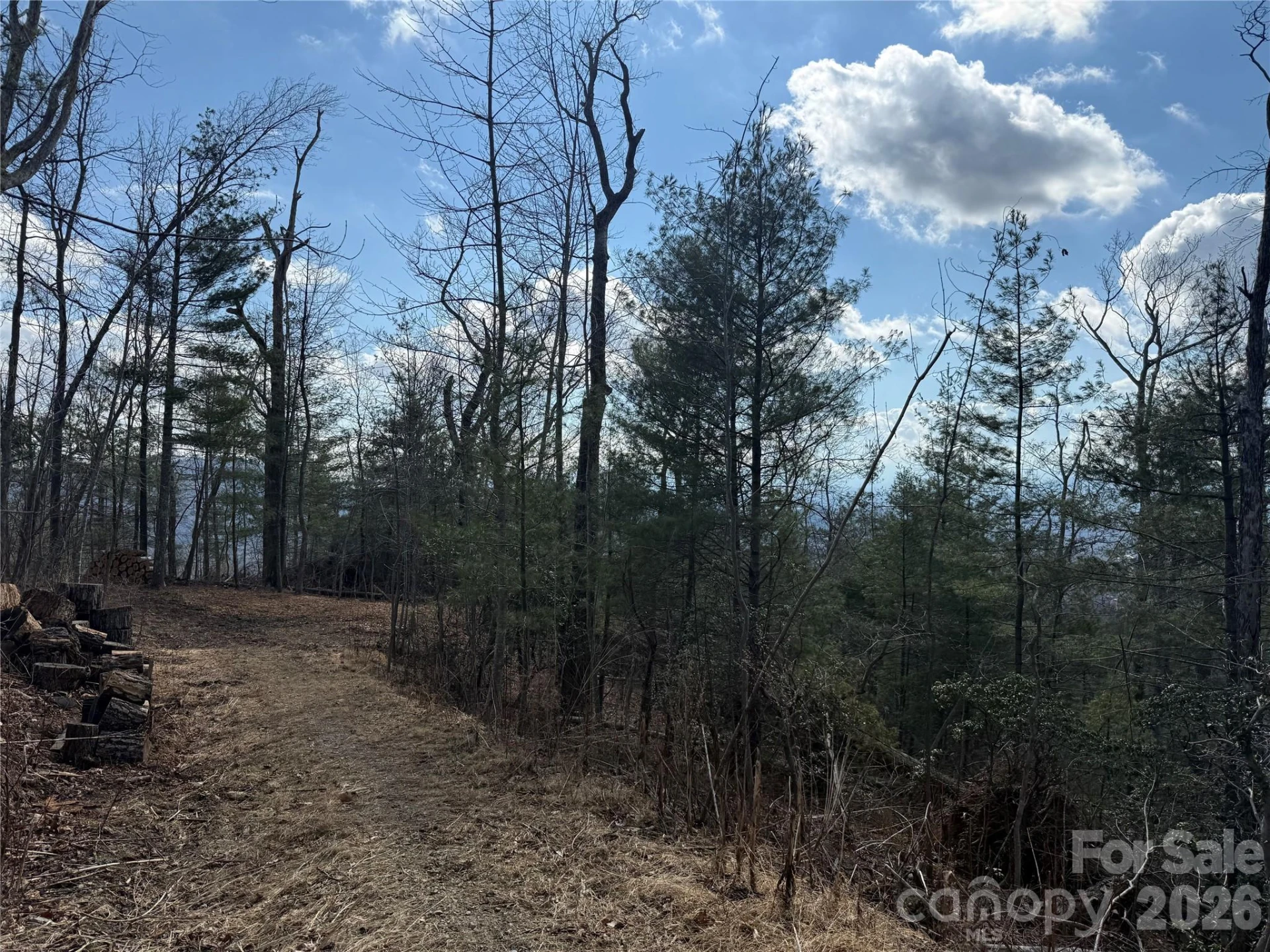 000 Rambling Ridge Road #16 - Photo 6
