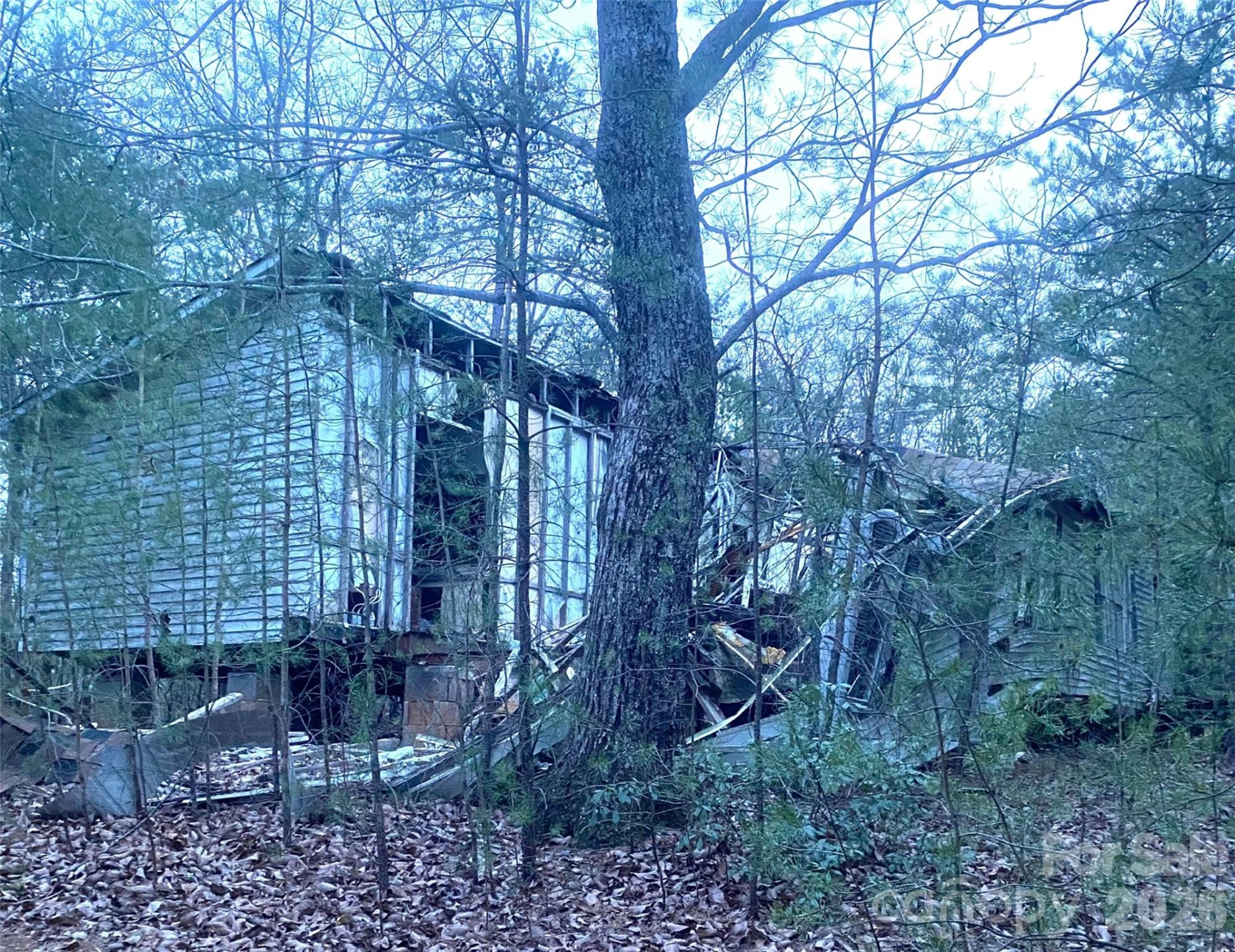 000 Froggyville Lane - Photo 11