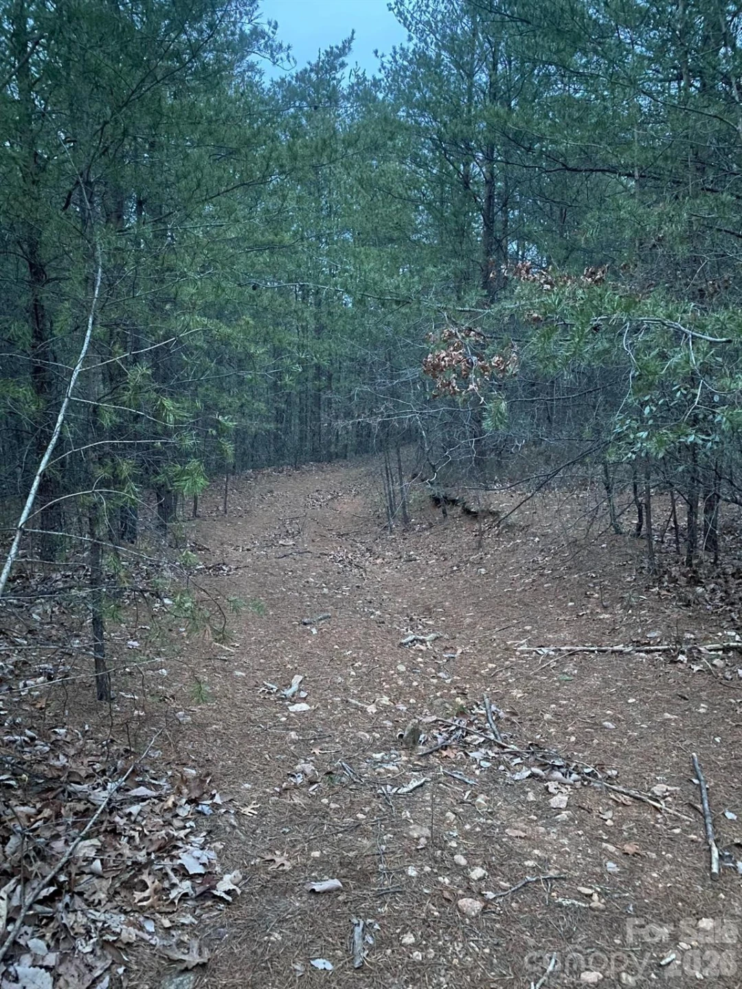 000 Froggyville Lane - Photo 10