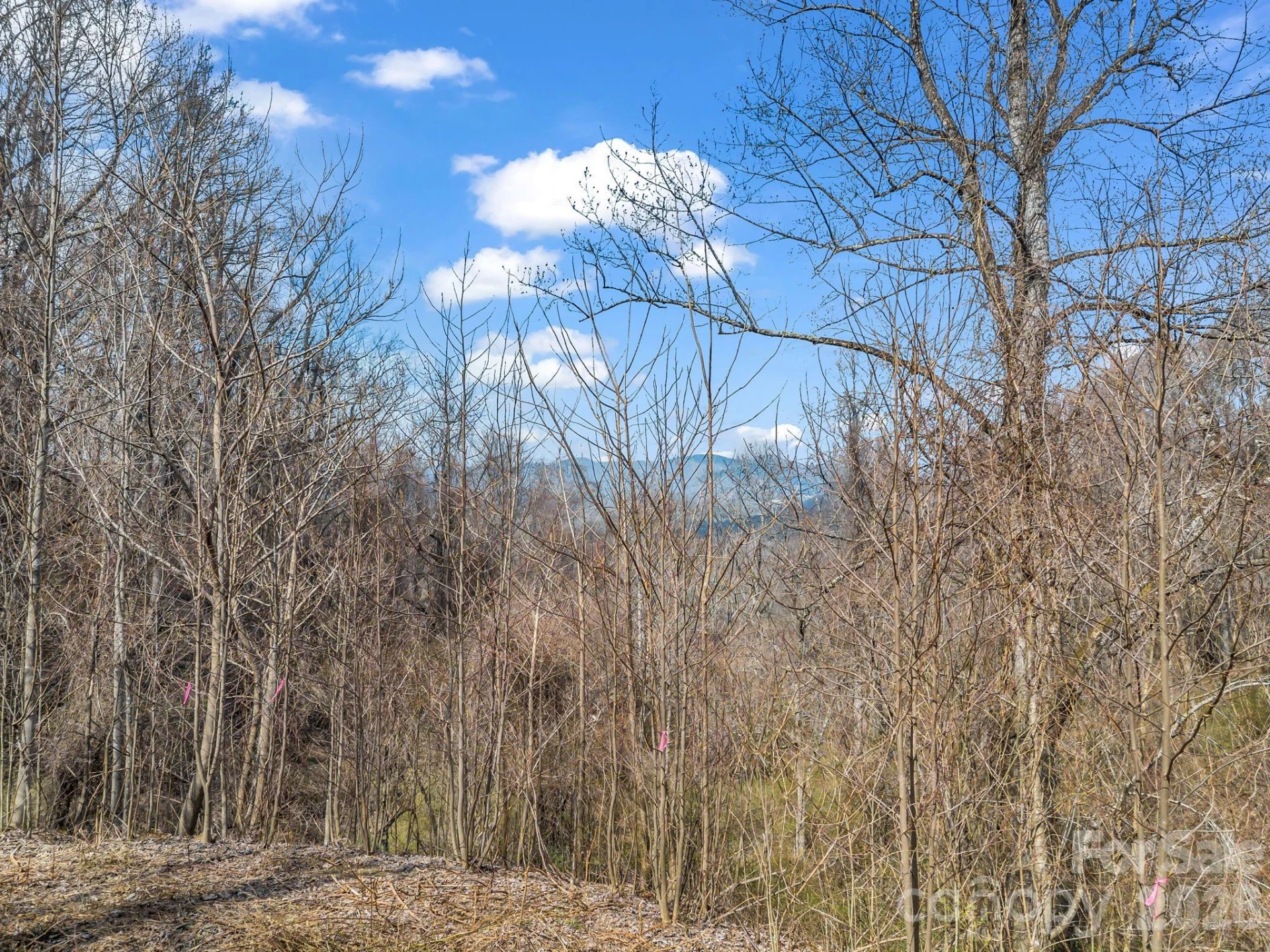 99999 Rose Hill Road - Photo 18