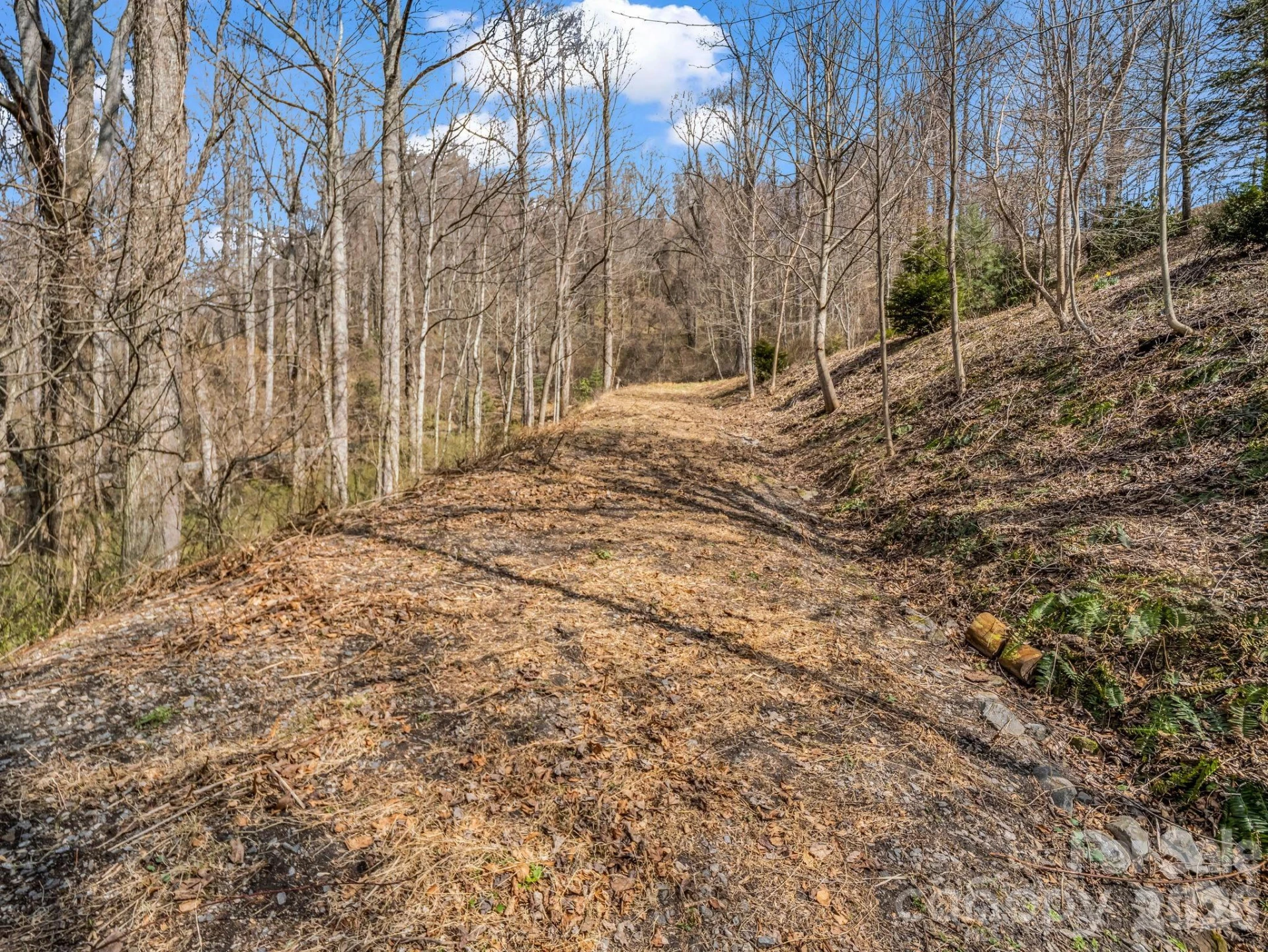 99999 Rose Hill Road - Photo 21