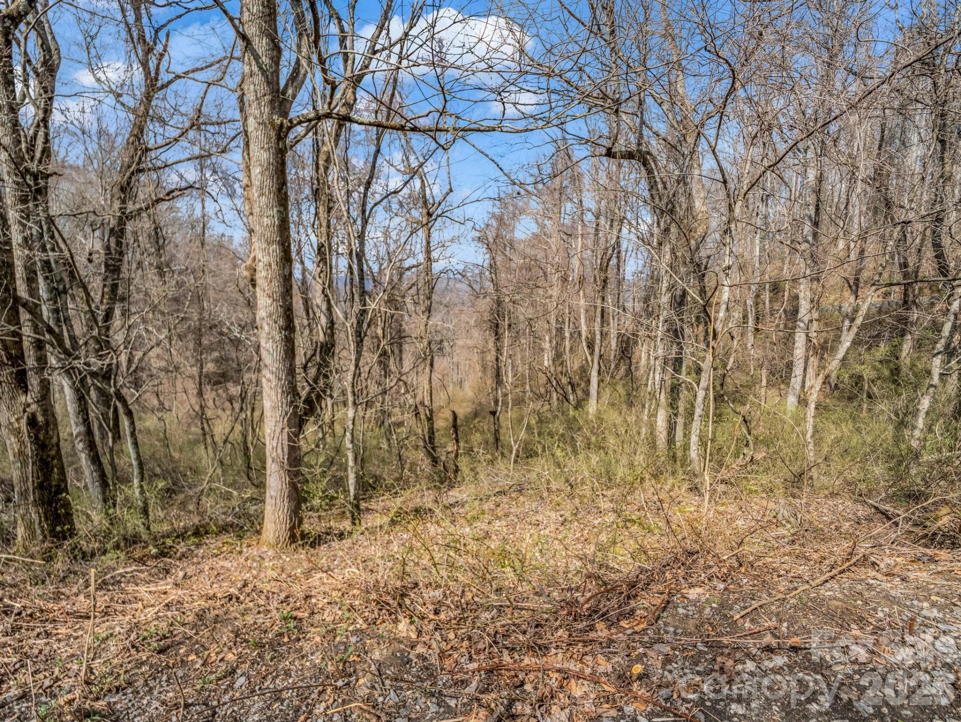99999 Rose Hill Road - Photo 22
