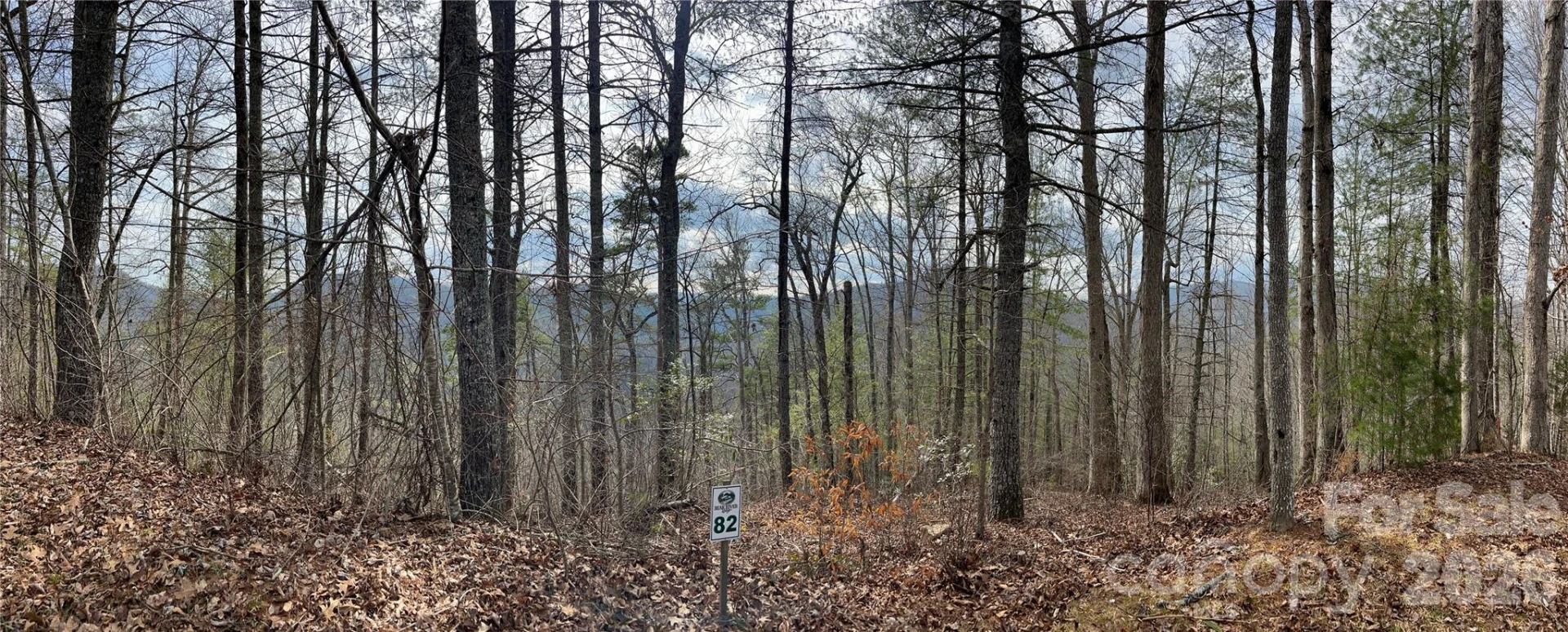 232 Thorncliff Road #82 - Photo 3