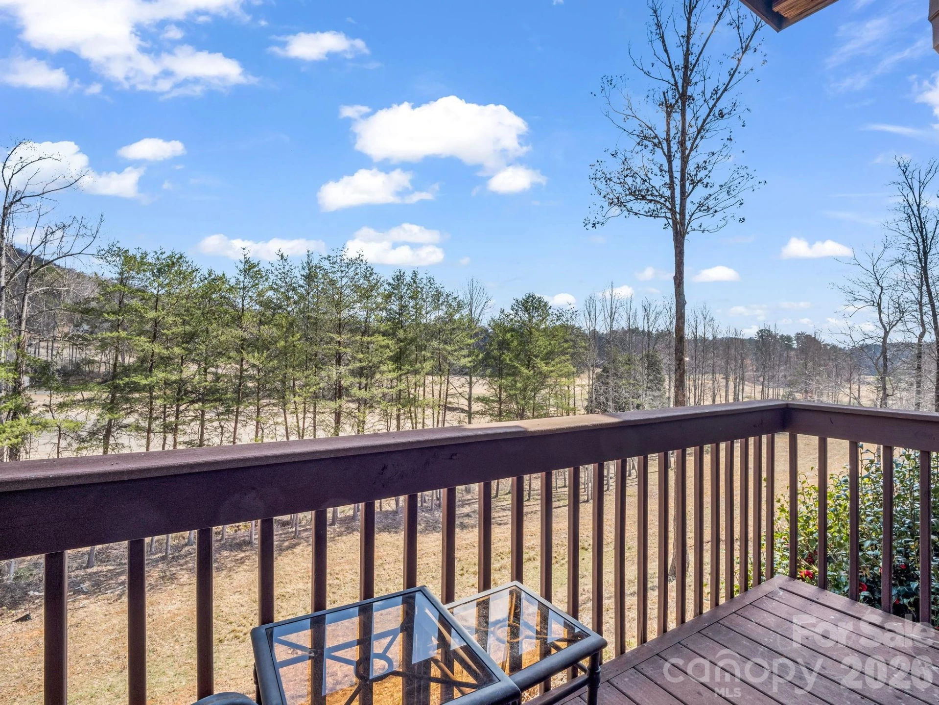 268 Wambli Pass - Photo 39