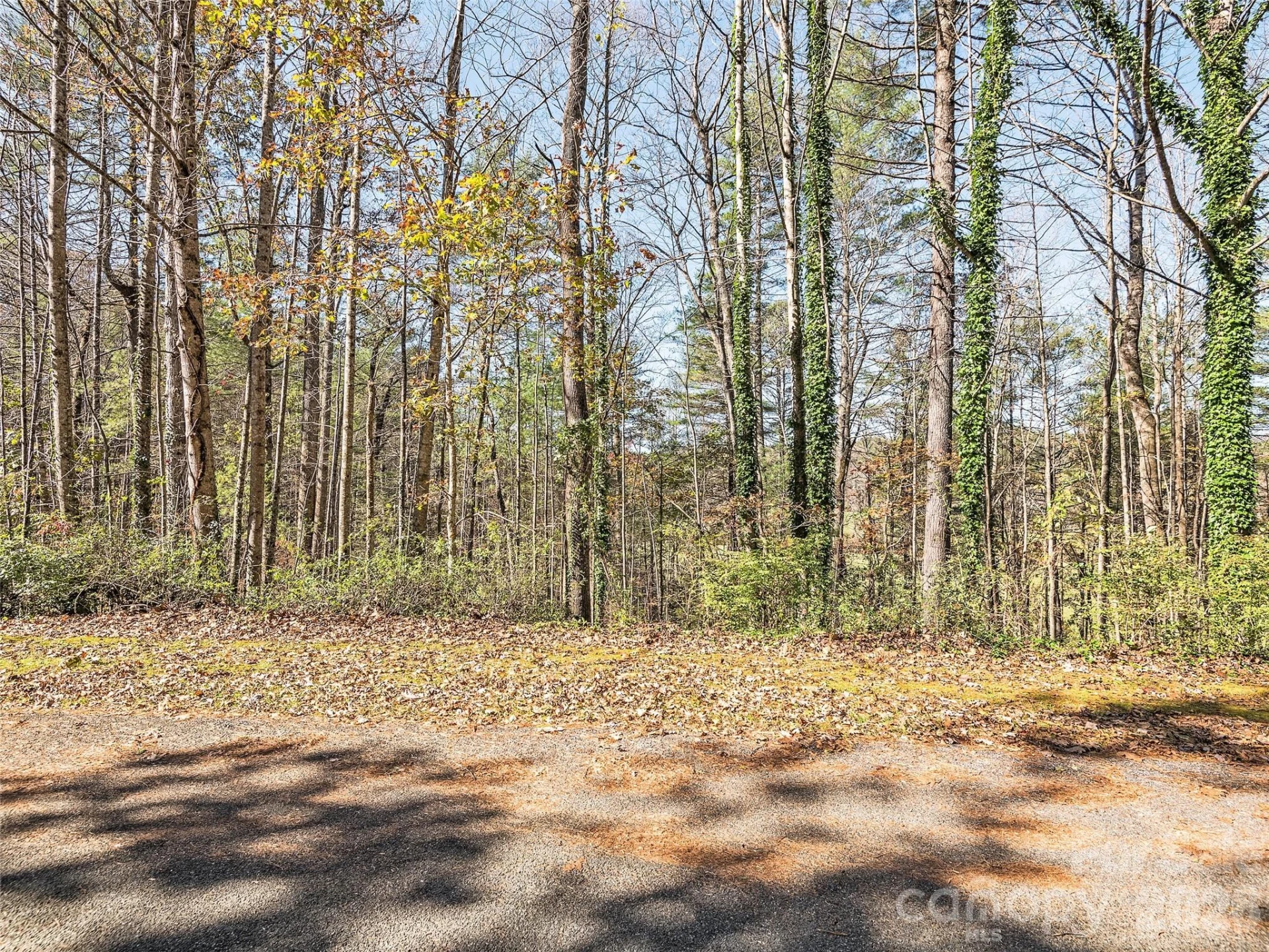 LOT 15 Mountain Lakes Drive #15 - Photo 5