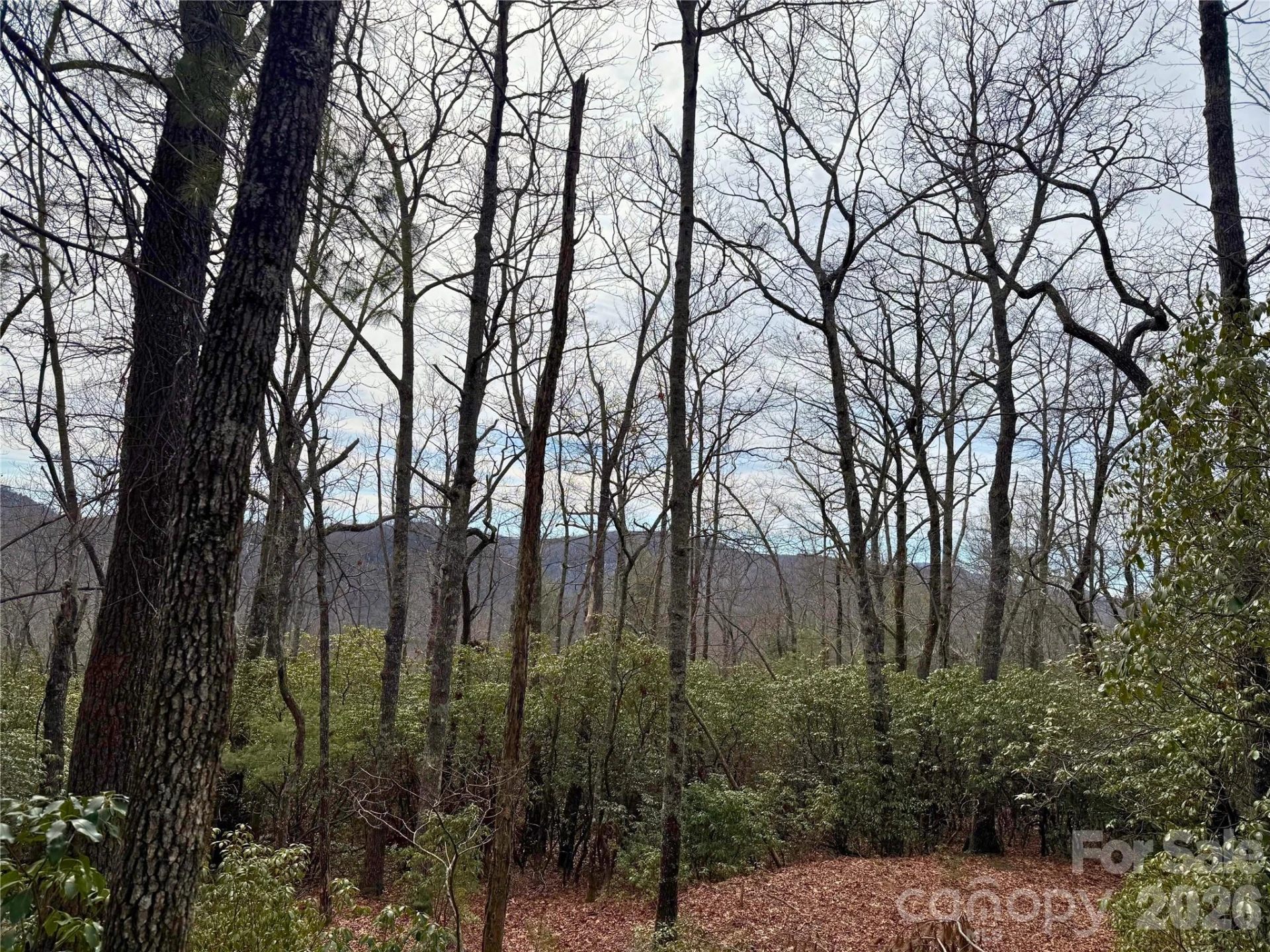 TBD Laurel Thicket Lane