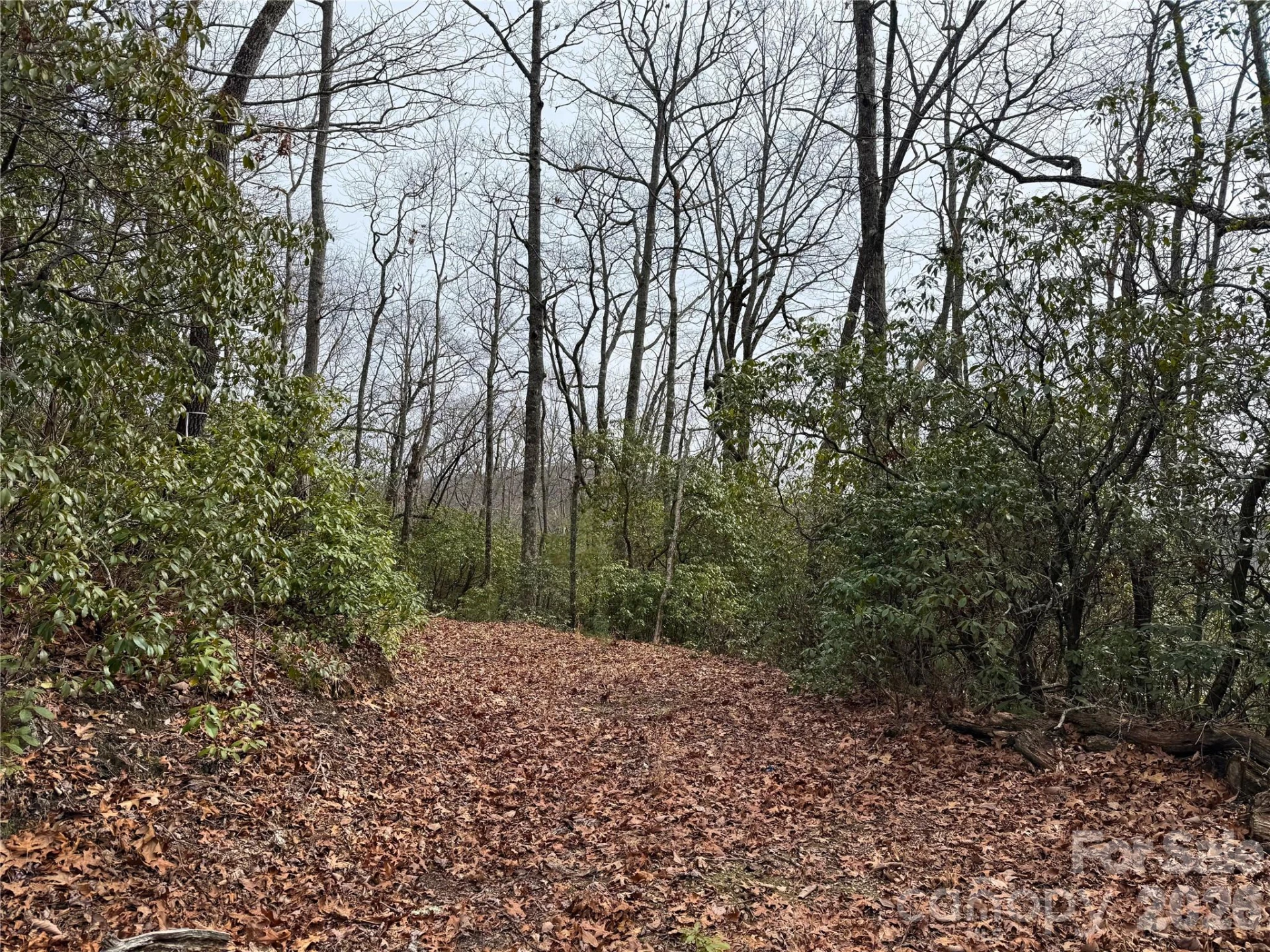 TBD Laurel Thicket Lane - Photo 11