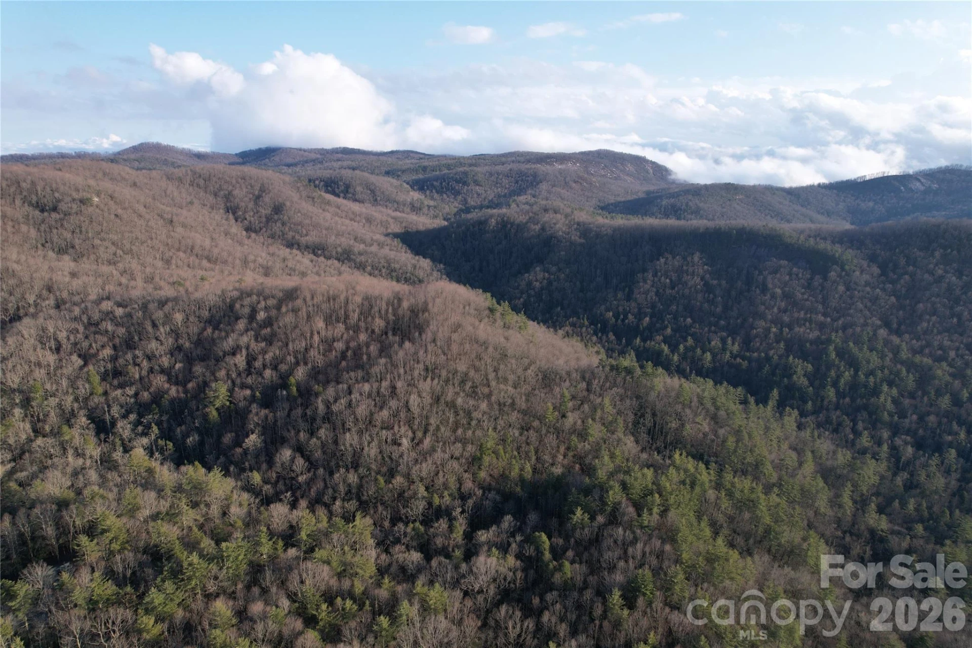 TBD Laurel Thicket Lane - Photo 16