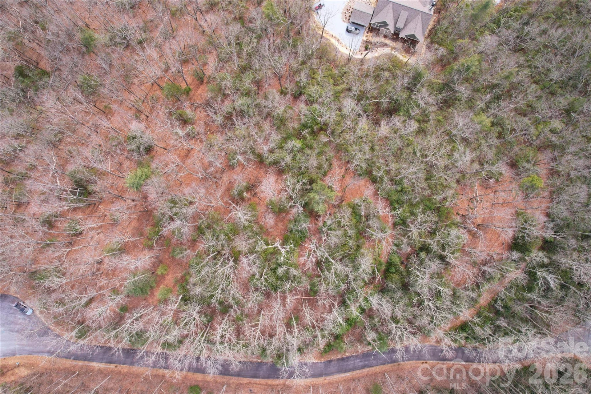 TBD Laurel Thicket Lane - Photo 3