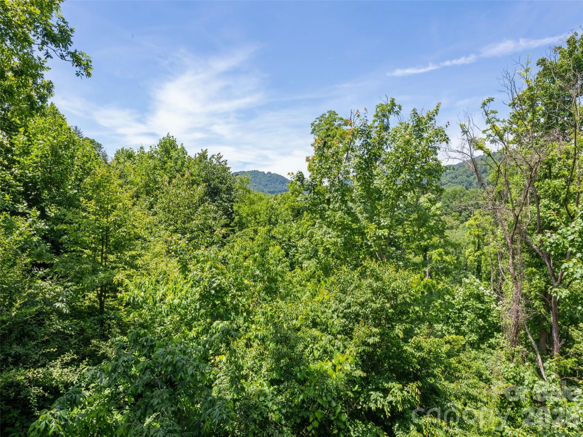 288 Ironwood Drive - Photo 9