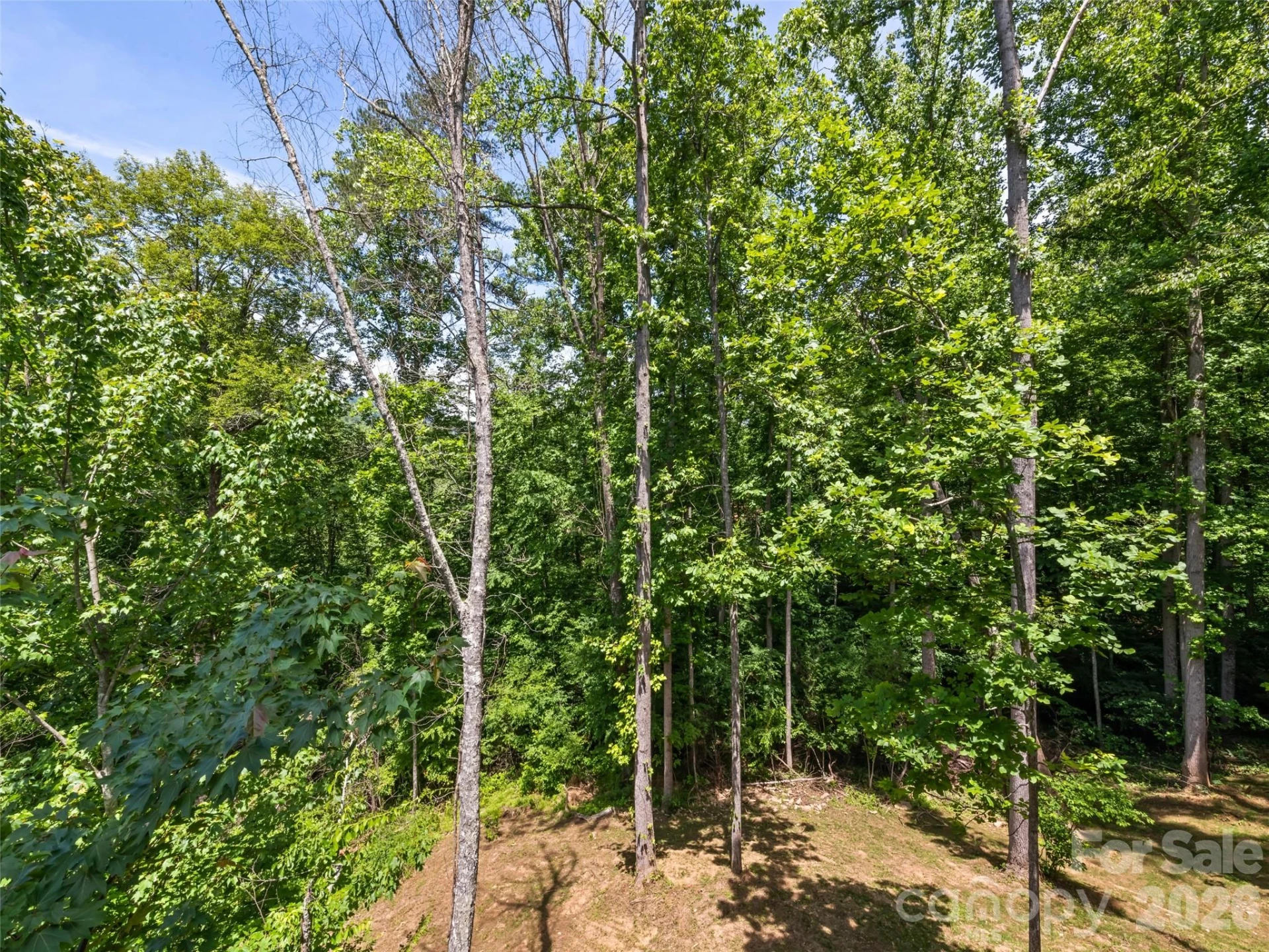 288 Ironwood Drive - Photo 10