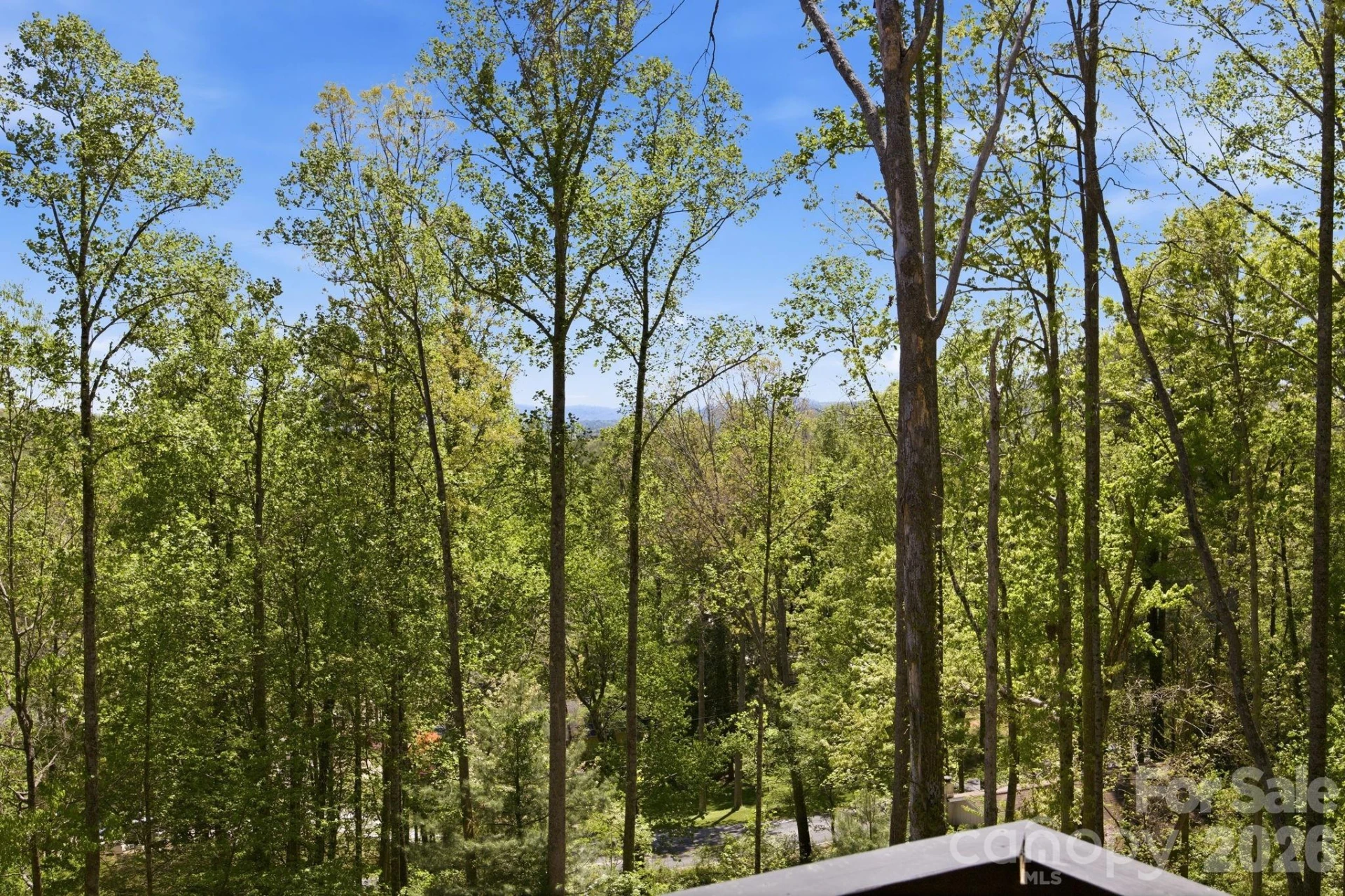 102 Sandpiper Palisades Street - Photo 46